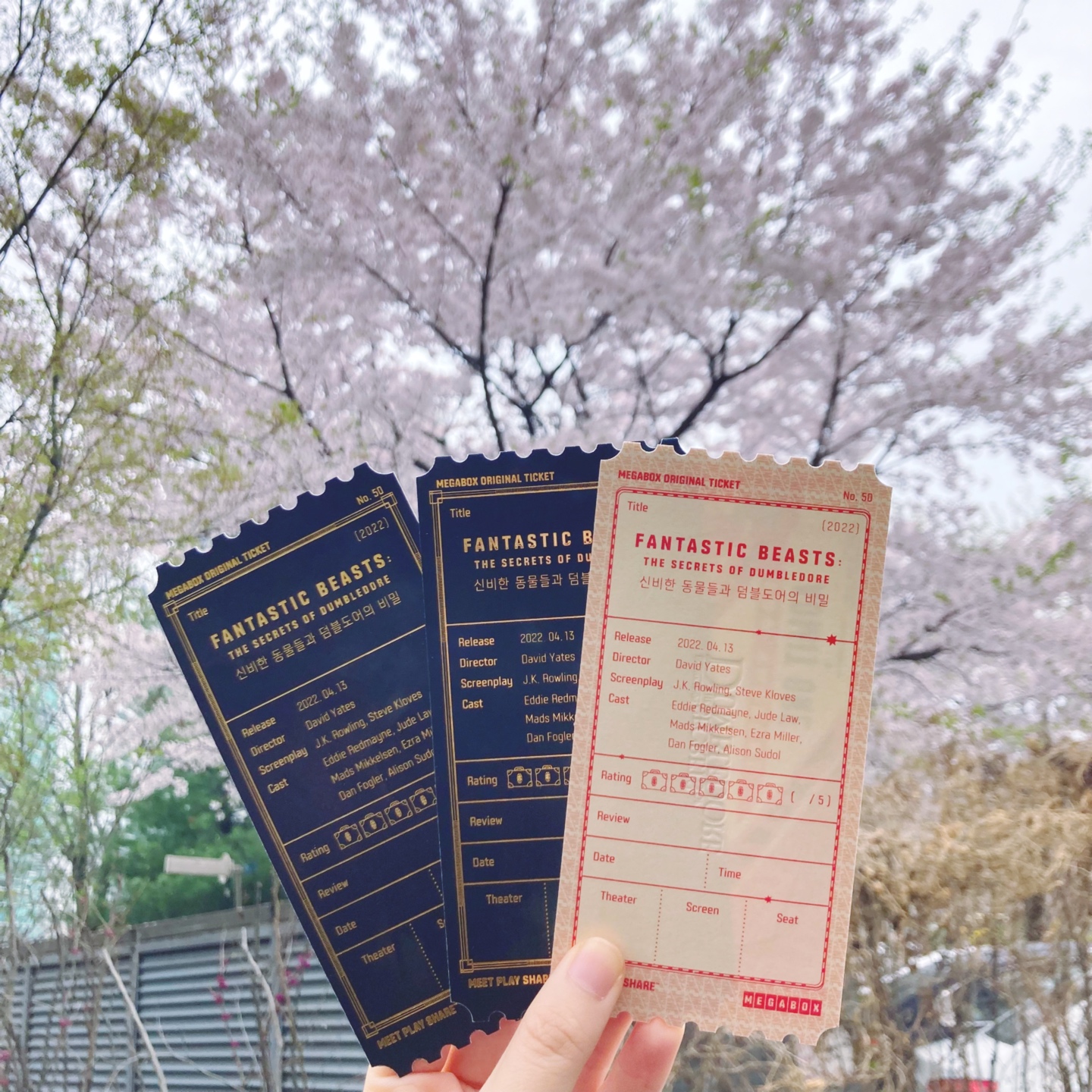 🦄신비한 동물들과 덤블도어의 비밀 오리지널 티켓🪄