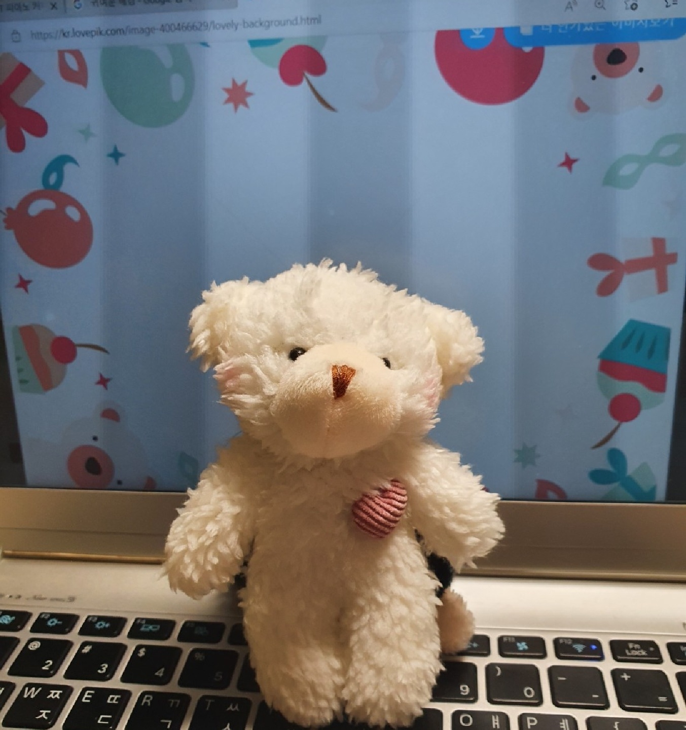 귀여운 곰돌이🤍🐻