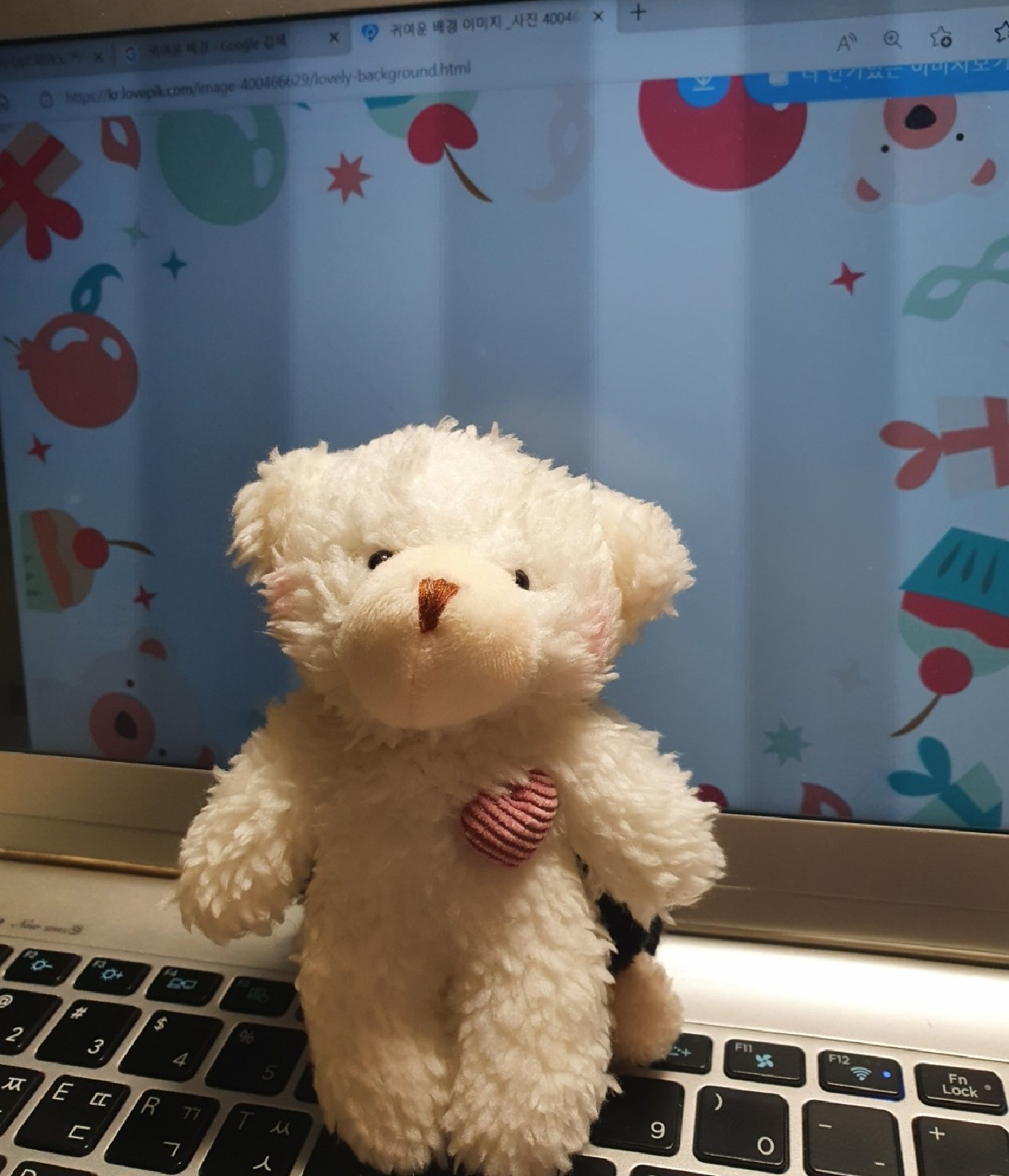 귀여운 곰돌이🤍🐻