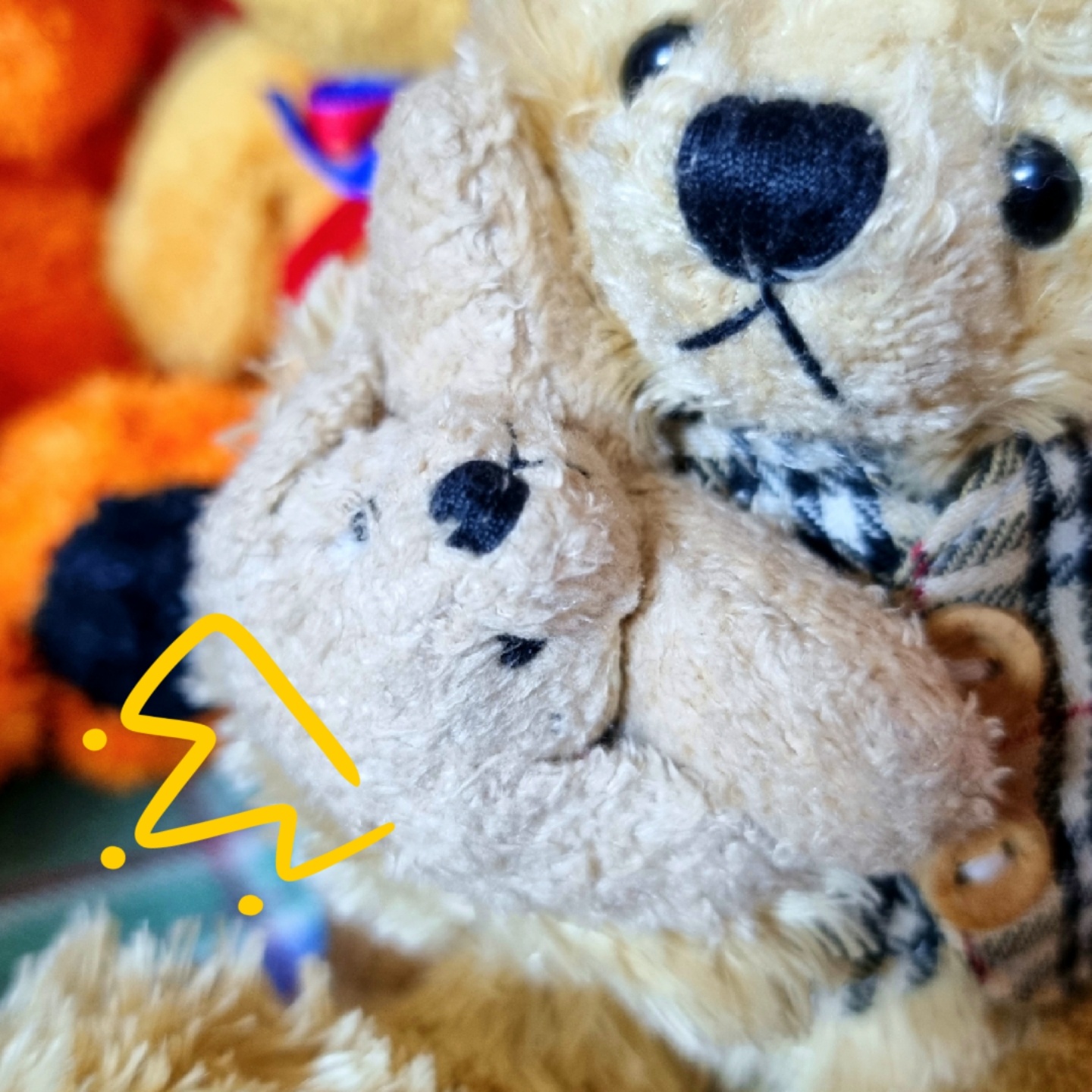 🐶강아지랑 곰돌이🧸