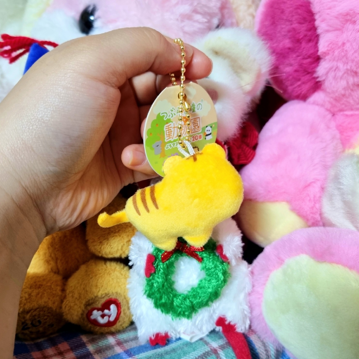💛동그란눈의 동물원 호랑이🐯