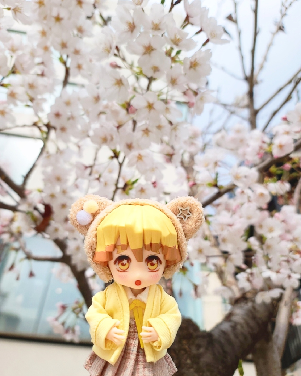 🌸벚꽃 그리고 젠이츠💛