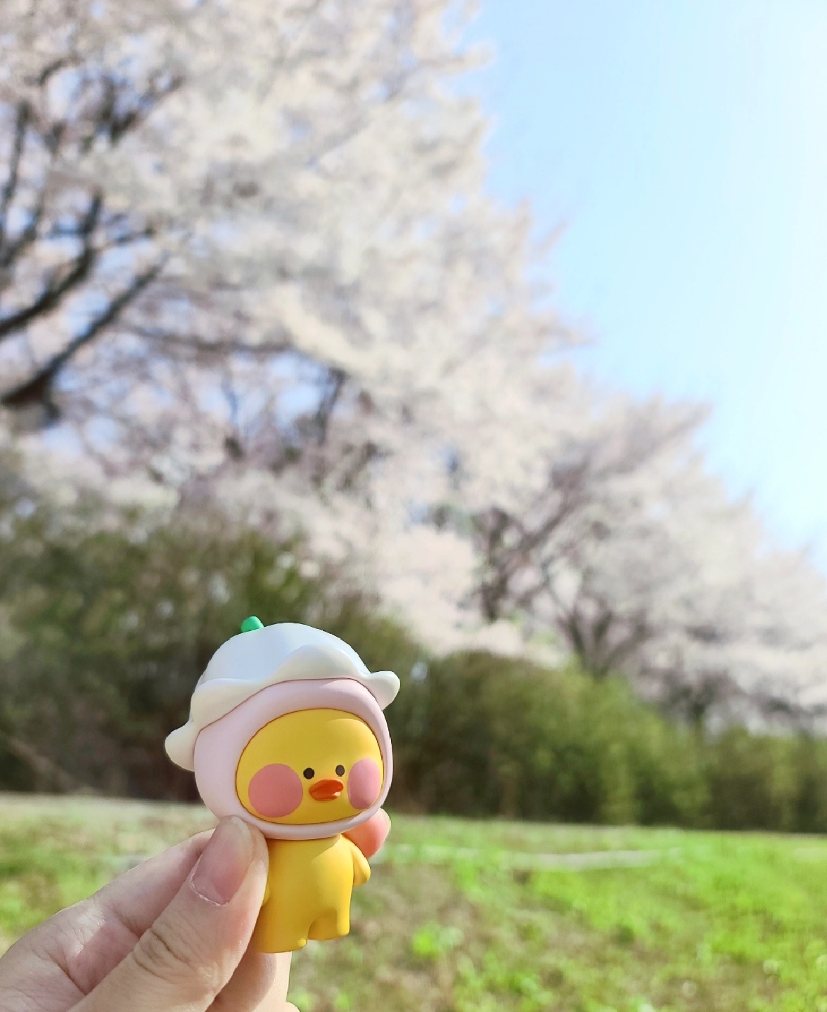 빵빵덕🌸