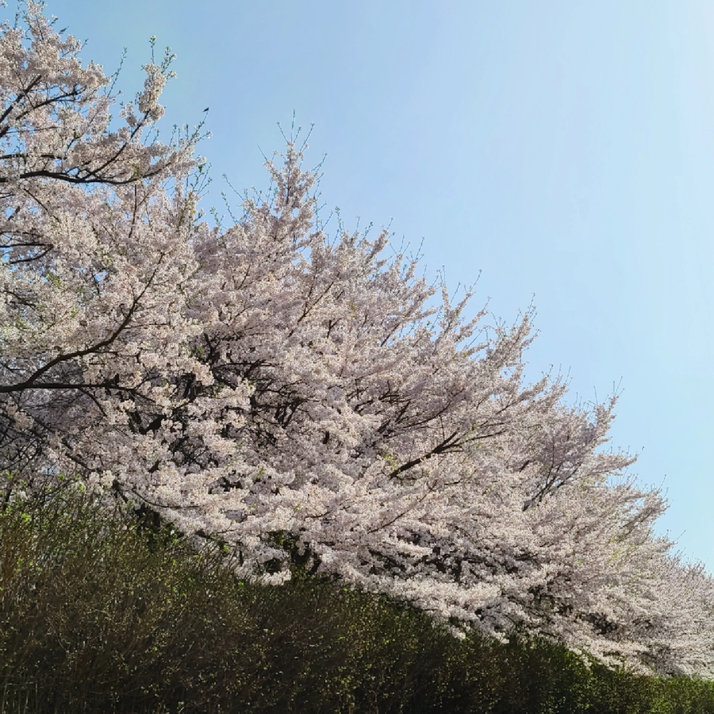 빵빵덕🌸
