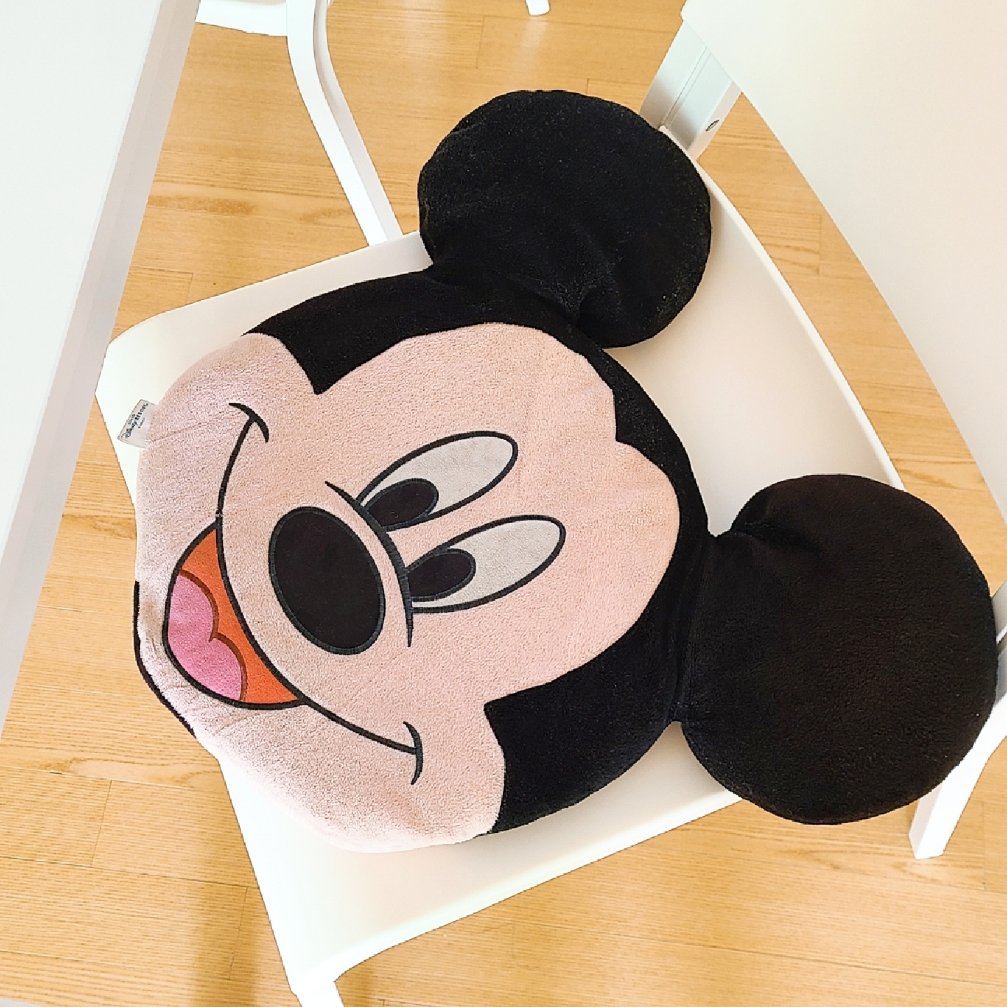 믹히 믹히 방석 🐭
