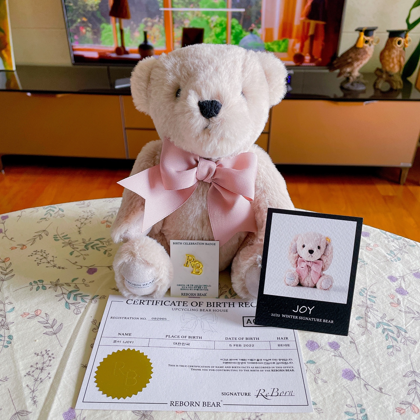 Reborn bear🌱🎀
JOY