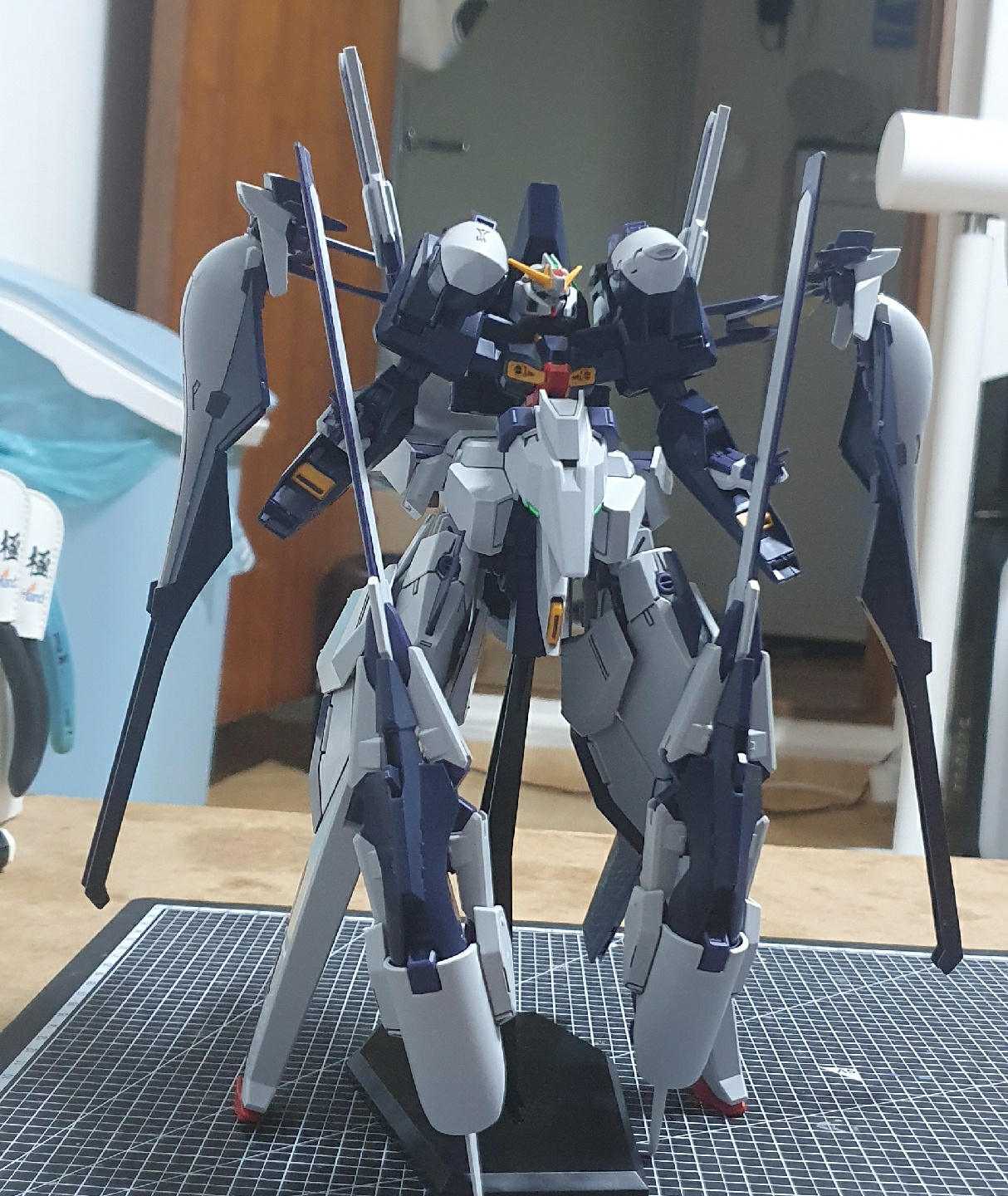 TR-6 건담 하이젠슬레이2라