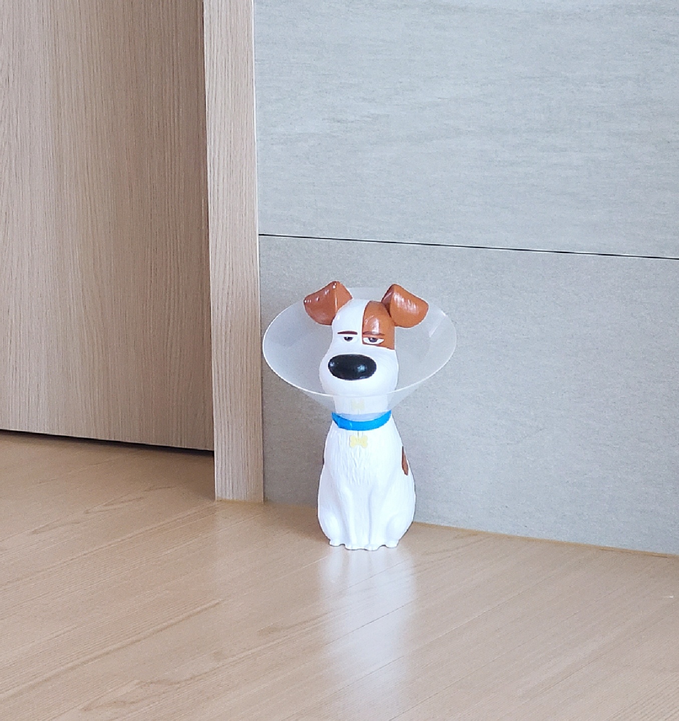 멍멍 🐶