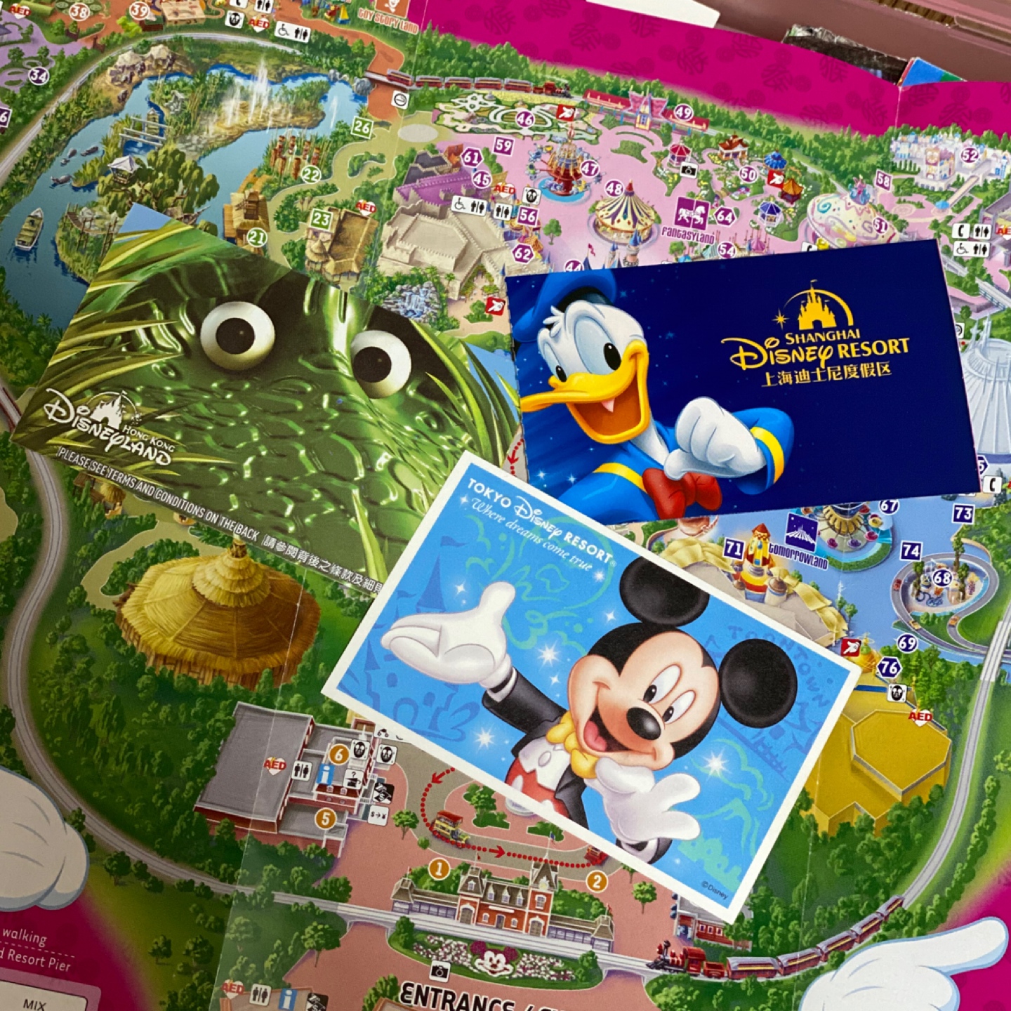 캐릭터 전부 모으고싶다!! | 콜리(Colley)