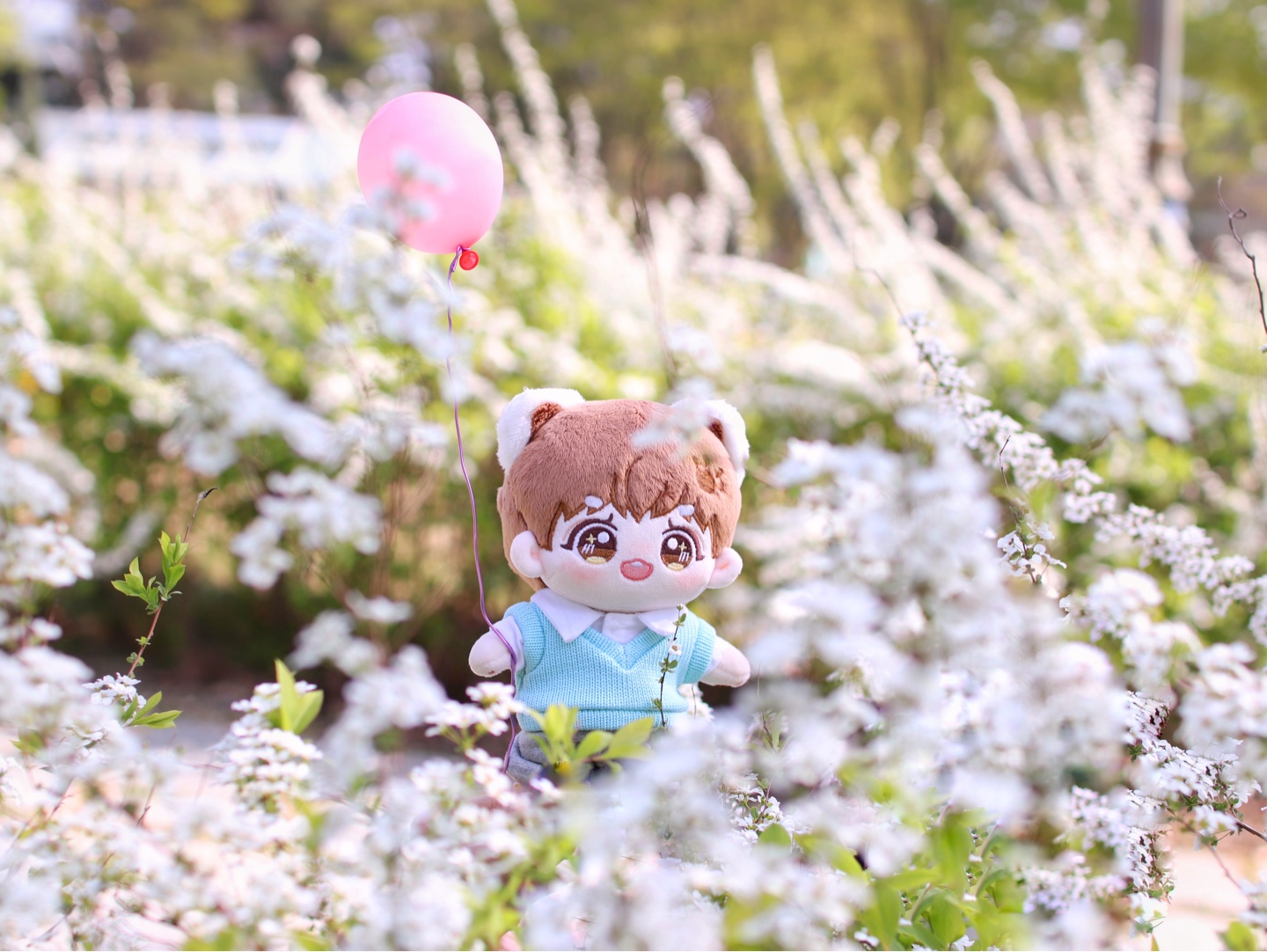 랫서콩