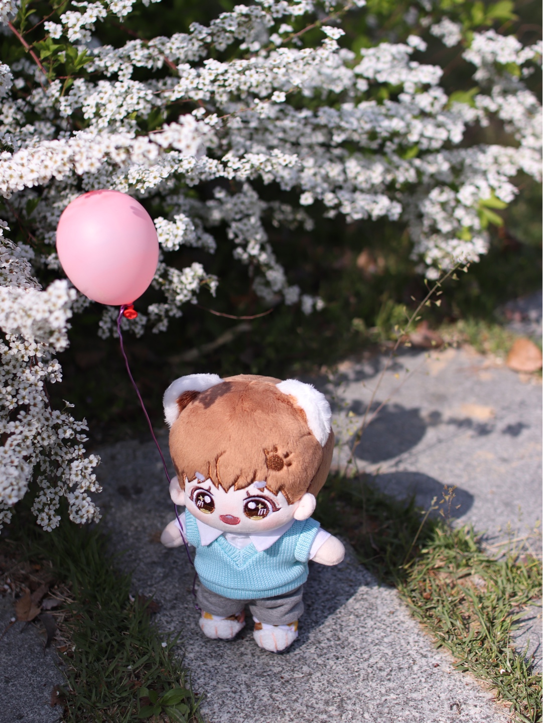 랫서콩