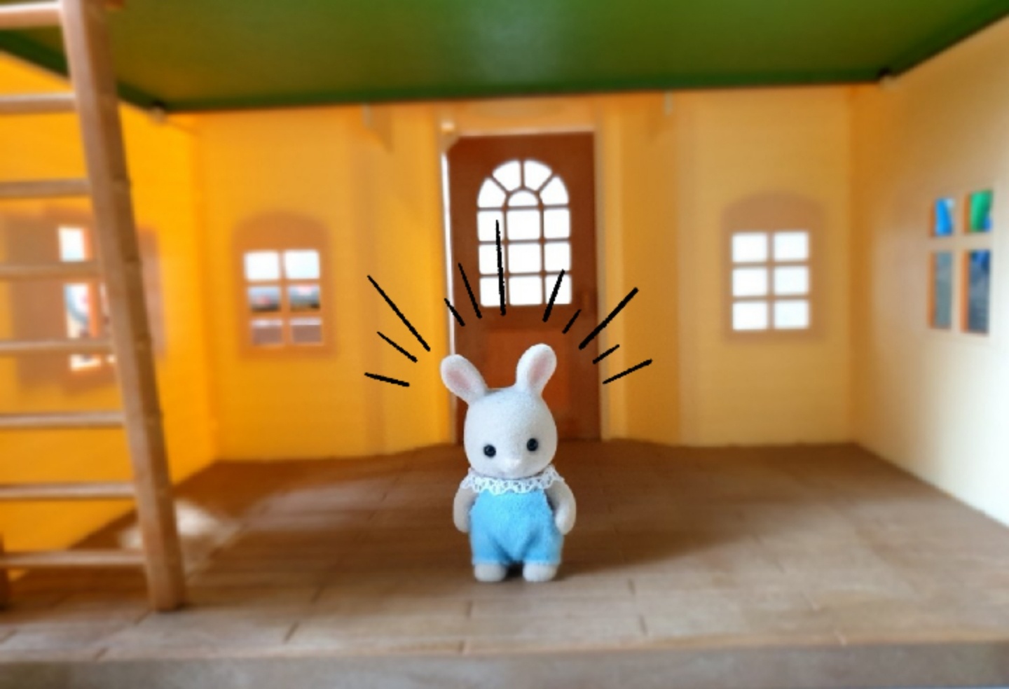 첫 게시물
#실바니안 #회색토끼 #2층집