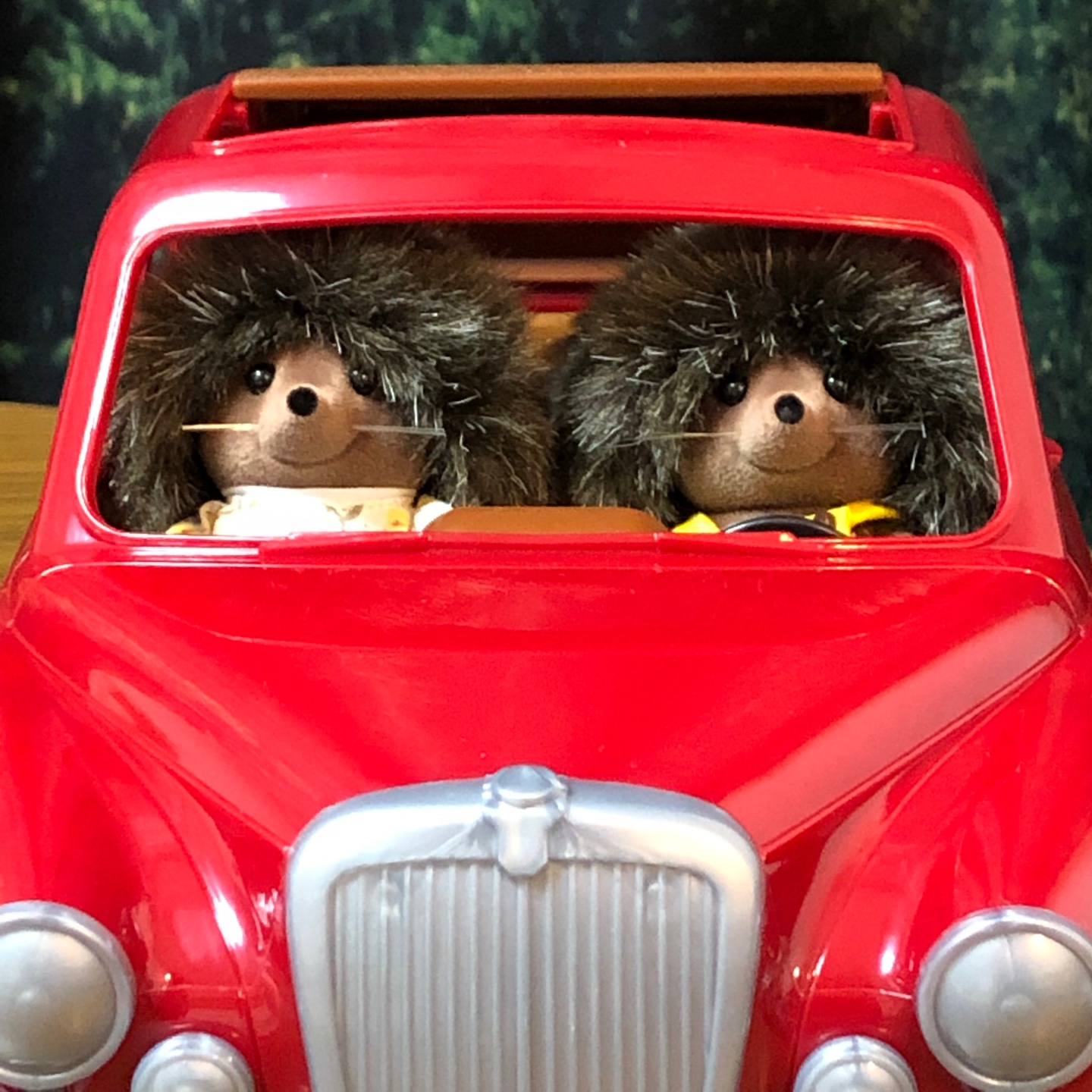 새 차 뽑은 고슴도치 가족🚘