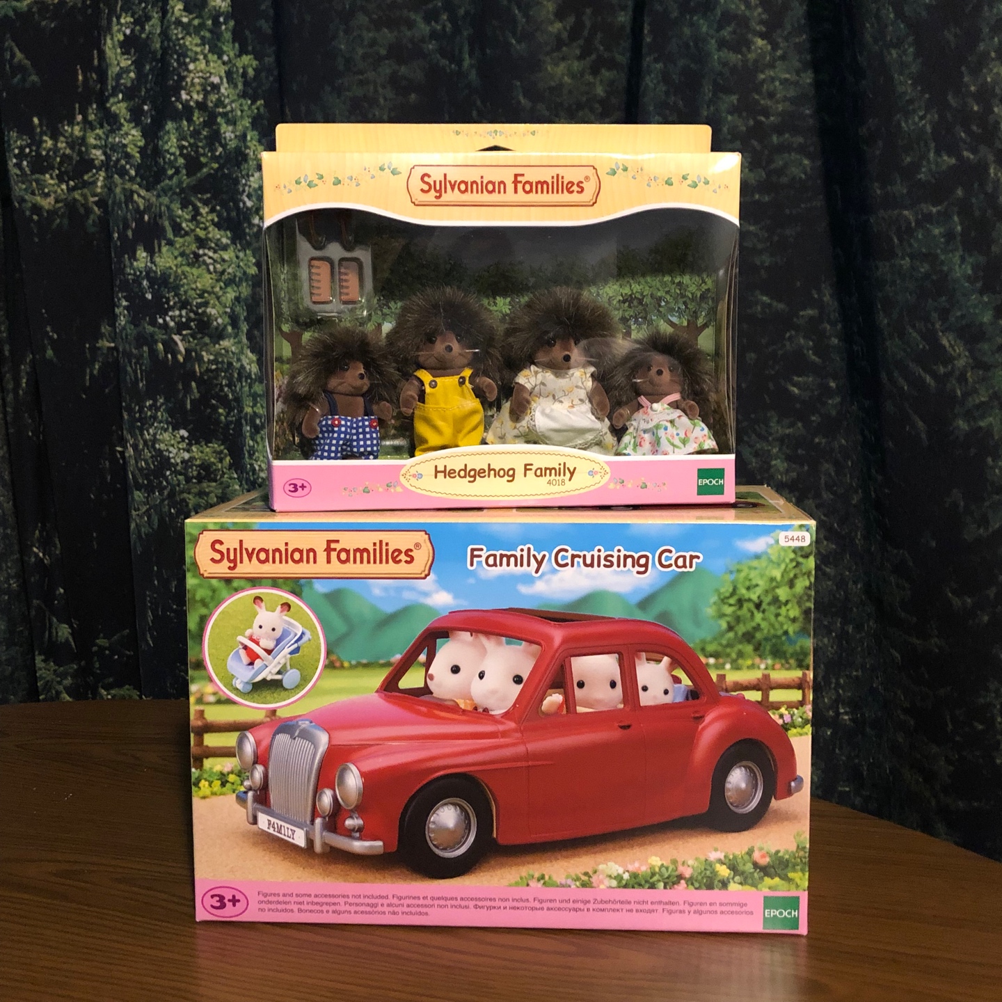새 차 뽑은 고슴도치 가족🚘