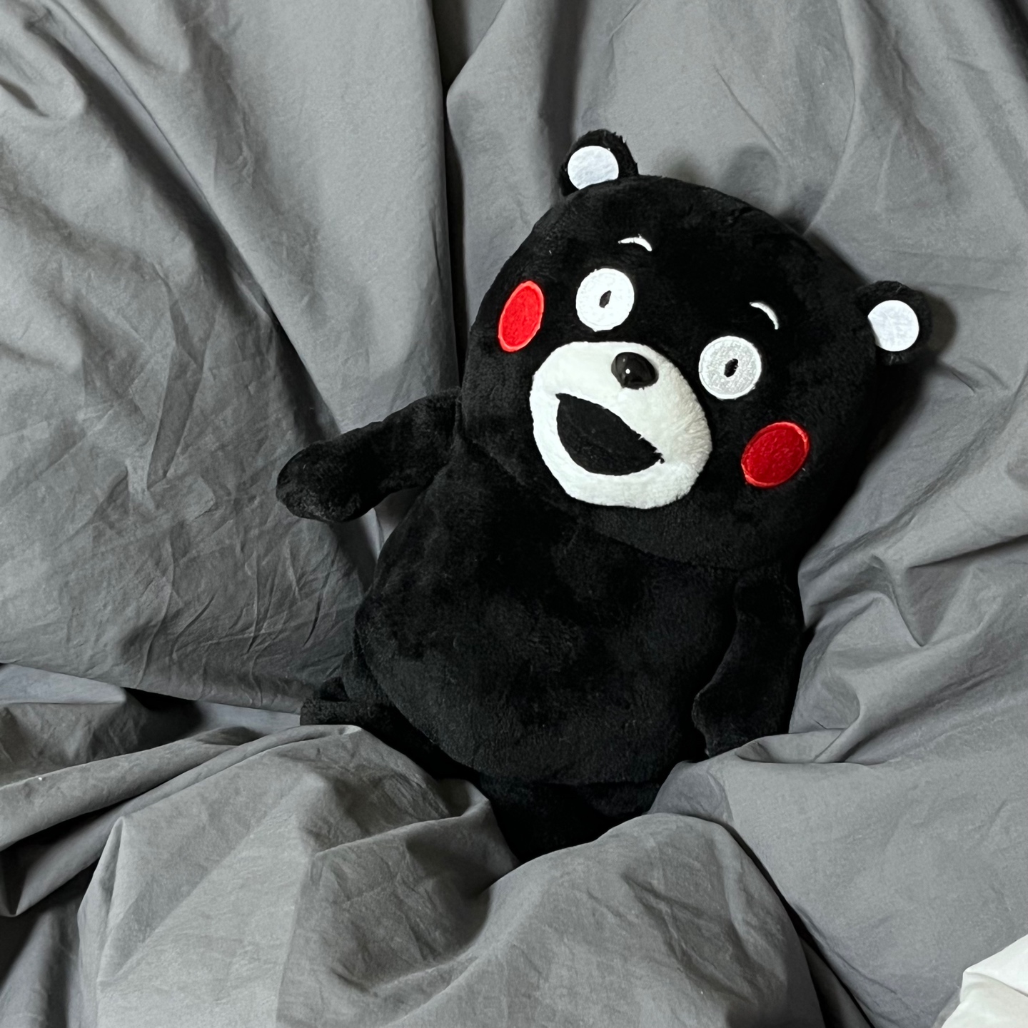쿠마몬🖤🐻