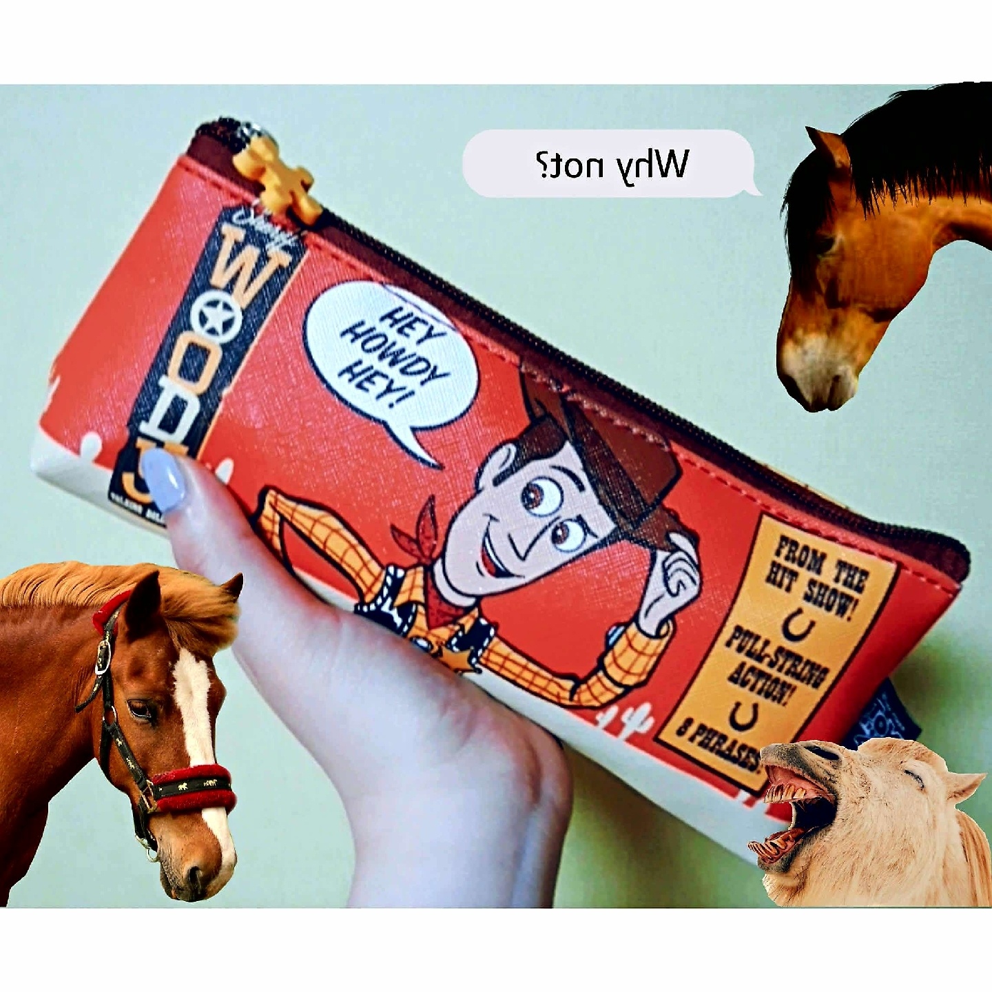 우디필통🐎