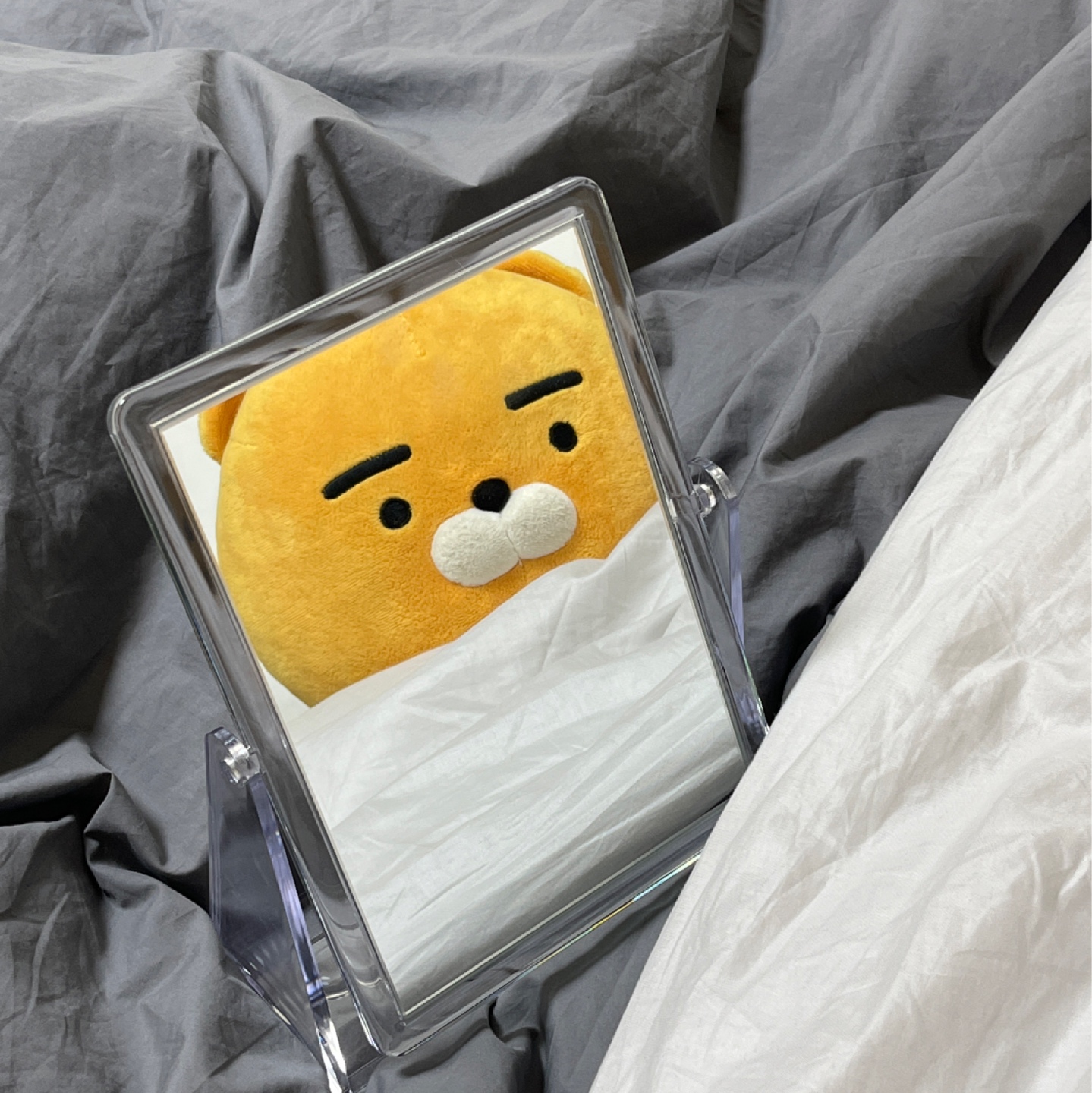 라이언 까꿍🙂