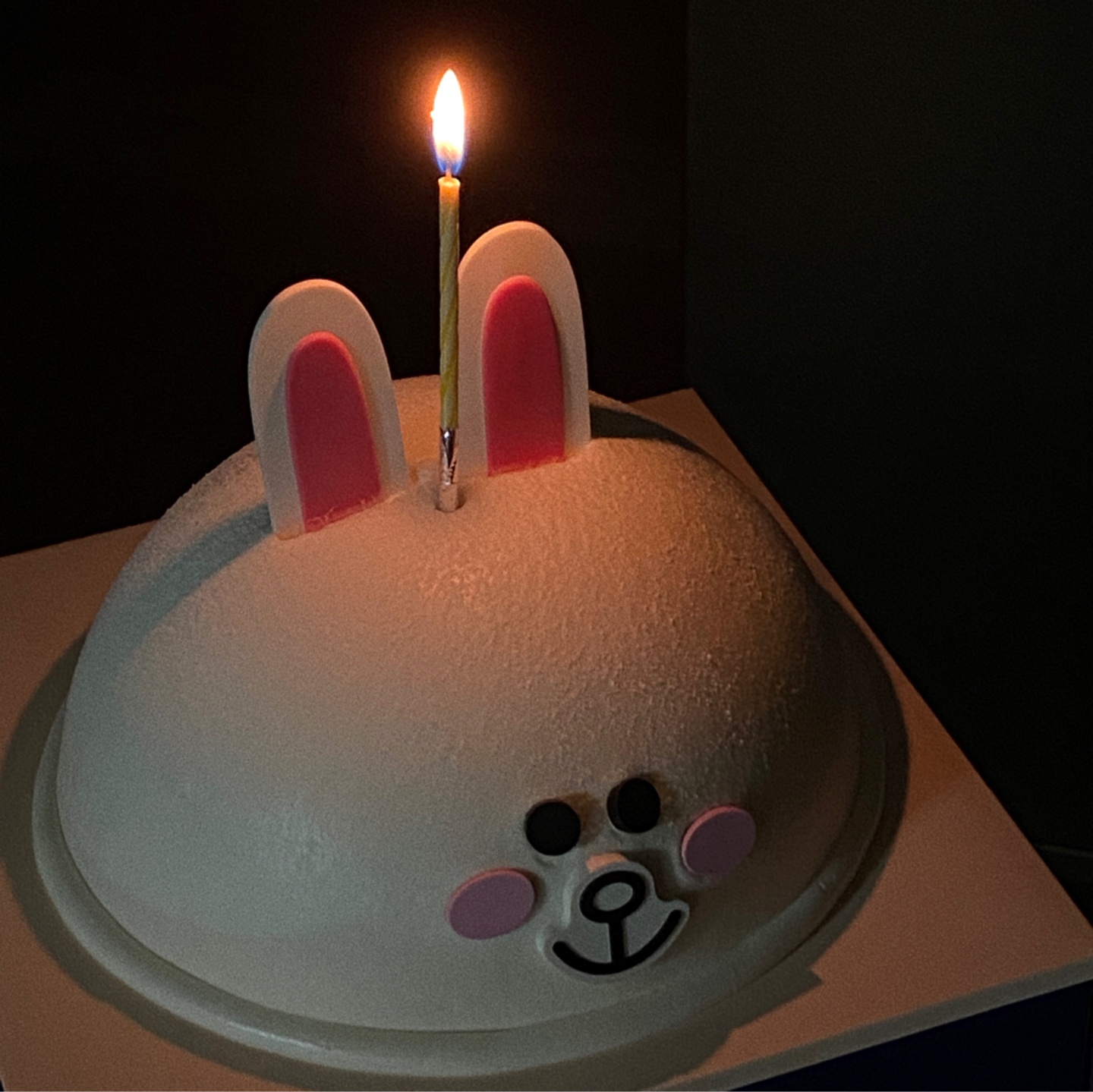 코니 케이크🎂🕯