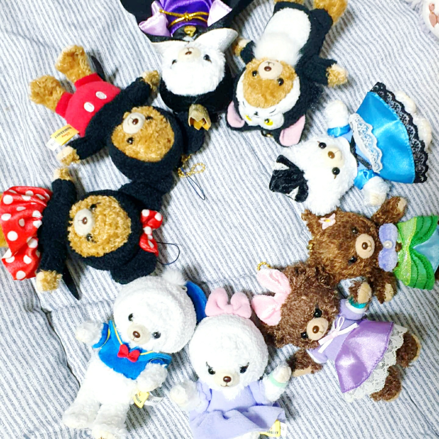 둥글게둥글게🐻🐻🐻🐻🐻🐻