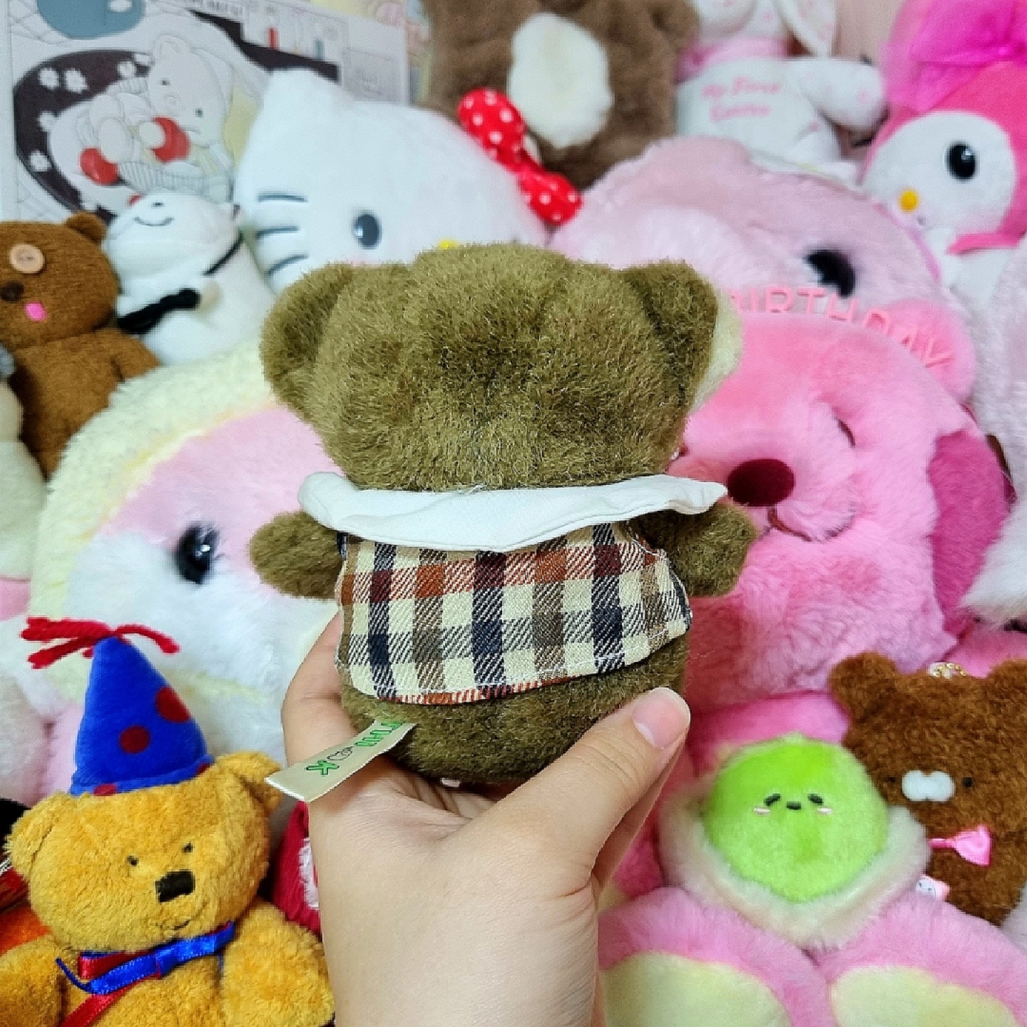🎀쪼꼬미 곰도리🧸