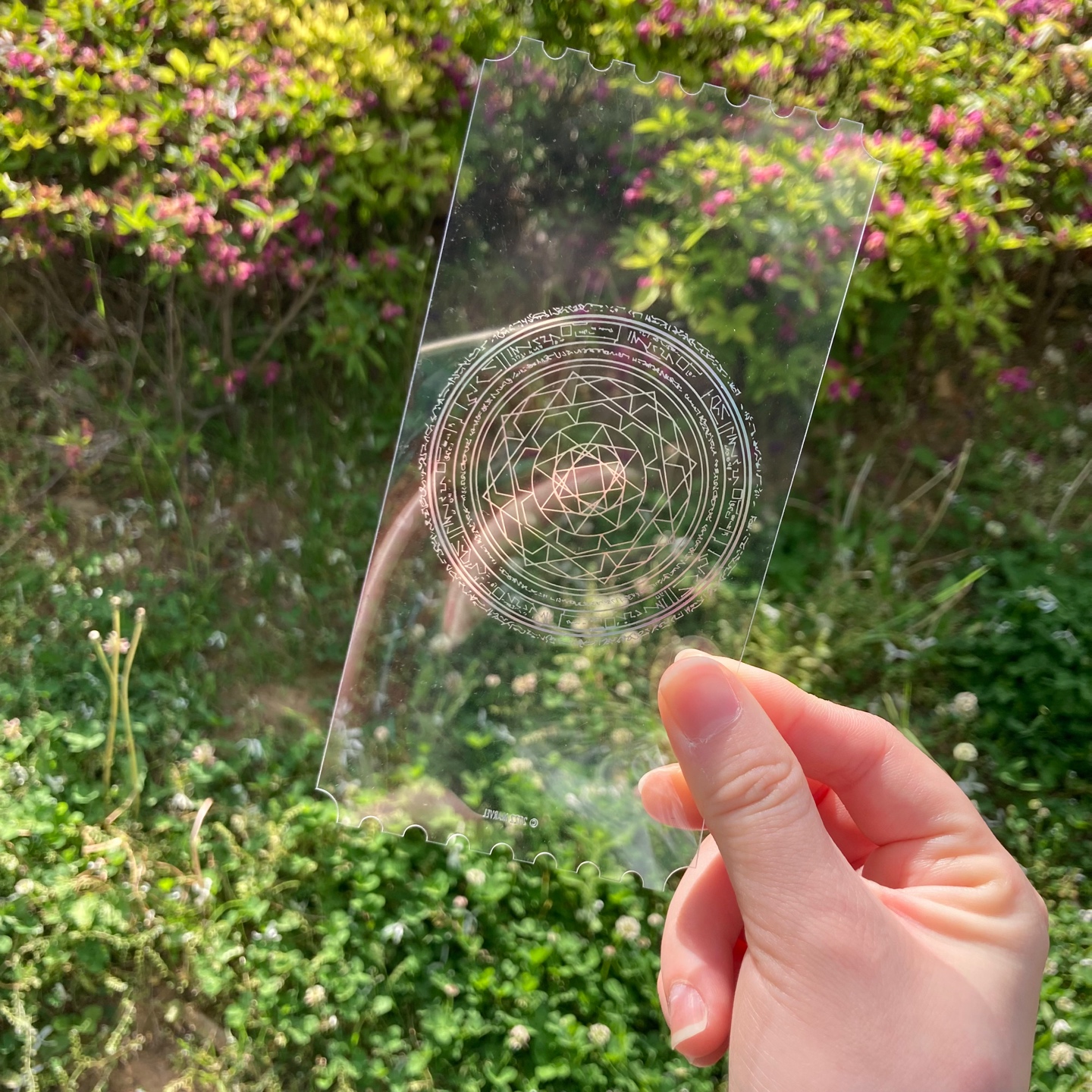 💫닥터스트레인지:대혼돈의 멀티버스 오리지널 티켓🌟