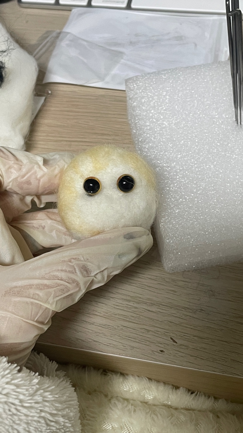 양모펠트 ... 어렵
