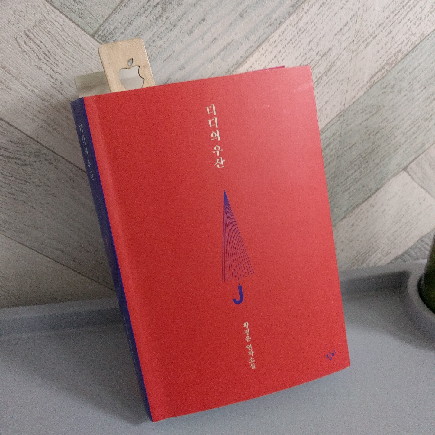디디의 우산