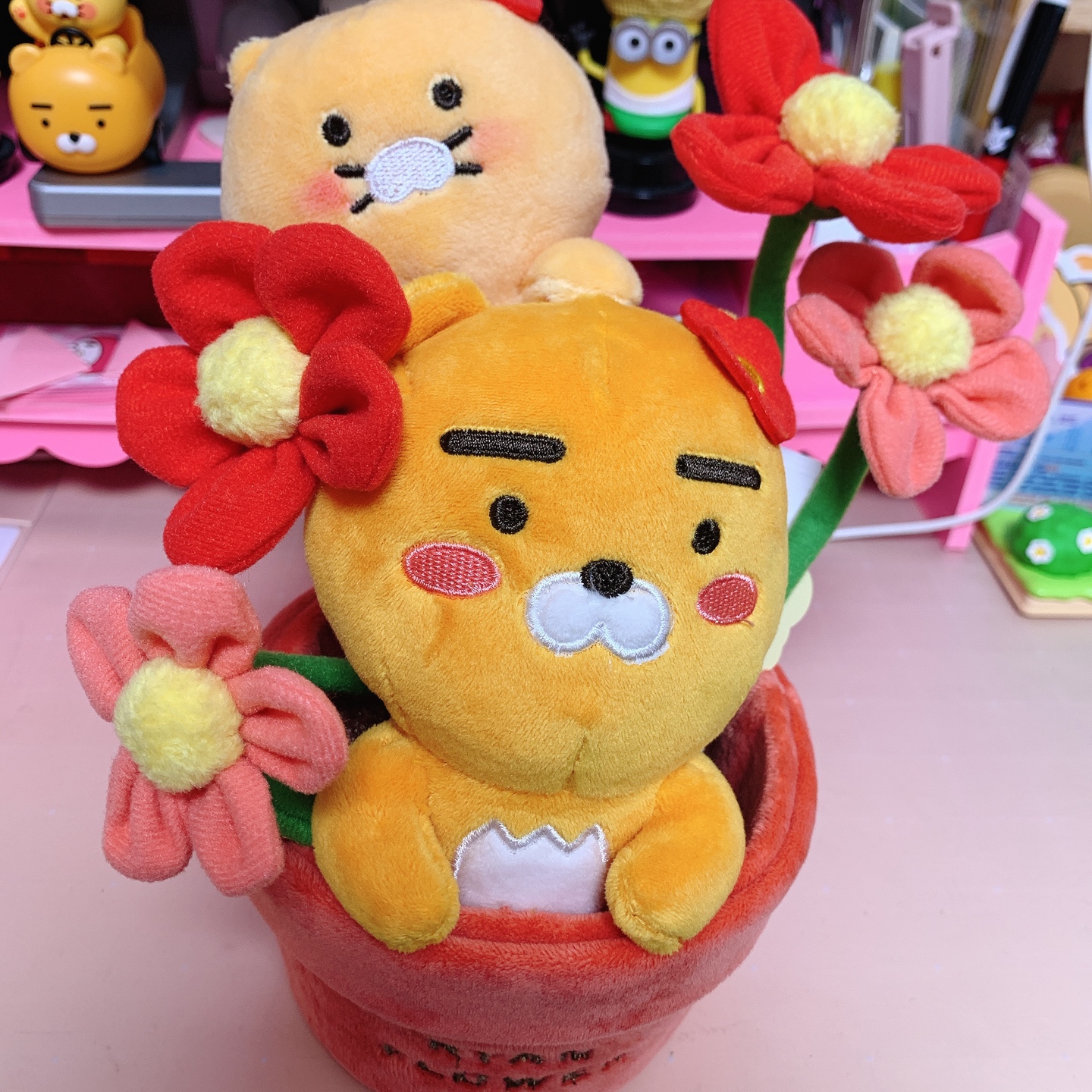 🌸라춘이 꽃이 피었습니다🌸