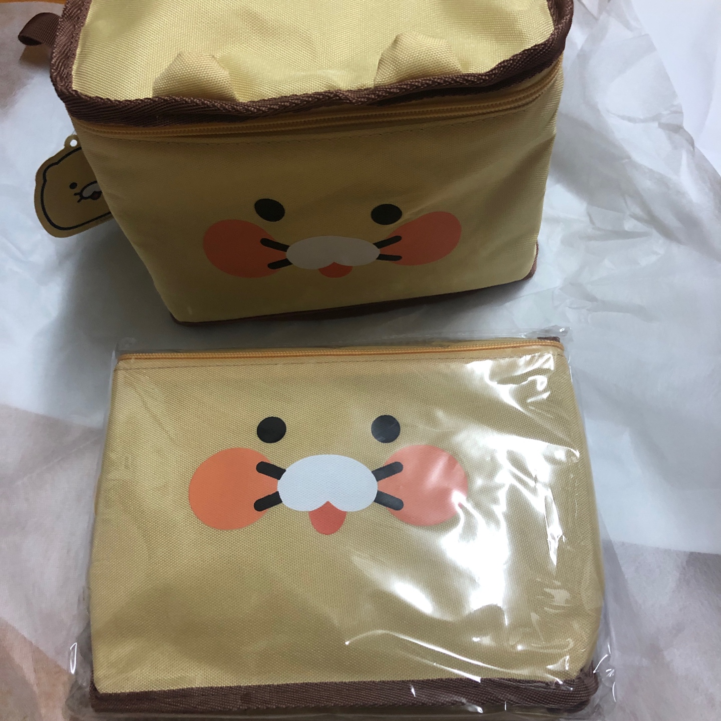 파바*춘식이 피크닉백