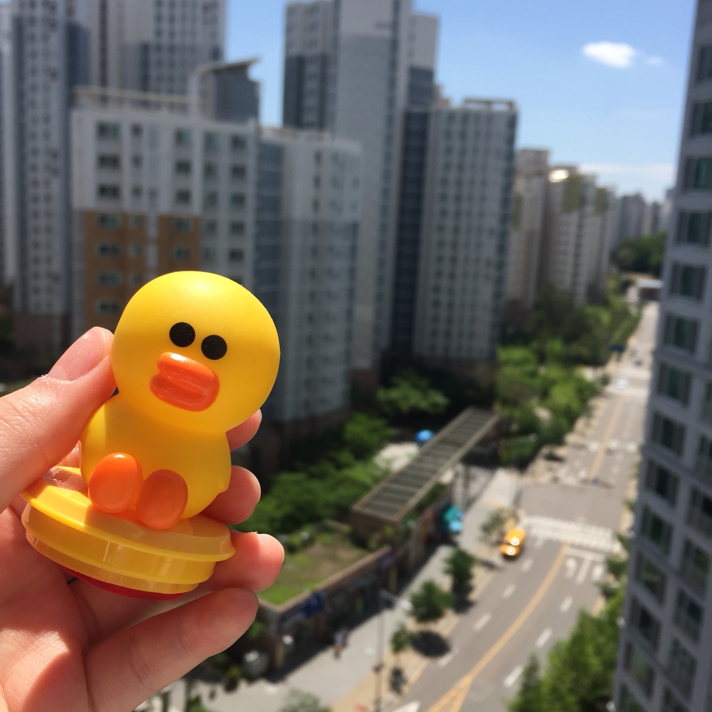 샐리🐣