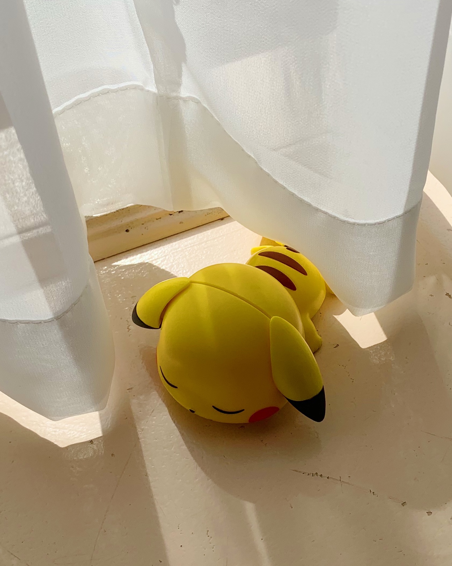 낮잠 타임