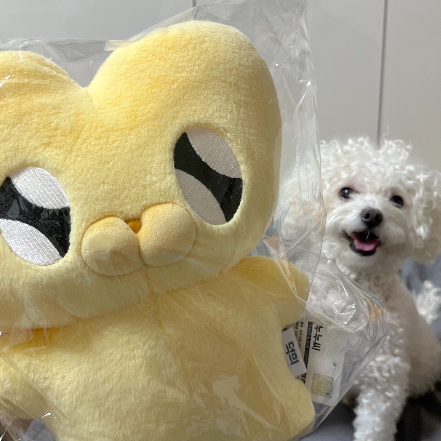 인싸템 가챠 당첨 누누씨 인형💛