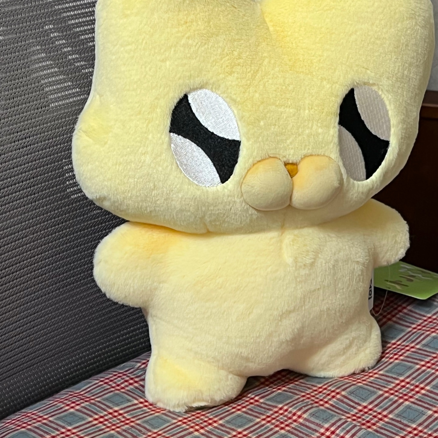인싸템 가챠 당첨 누누씨 인형💛