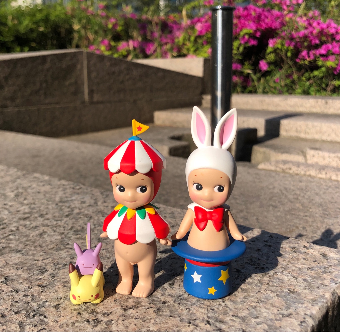 소니엔젤 서커스🎪