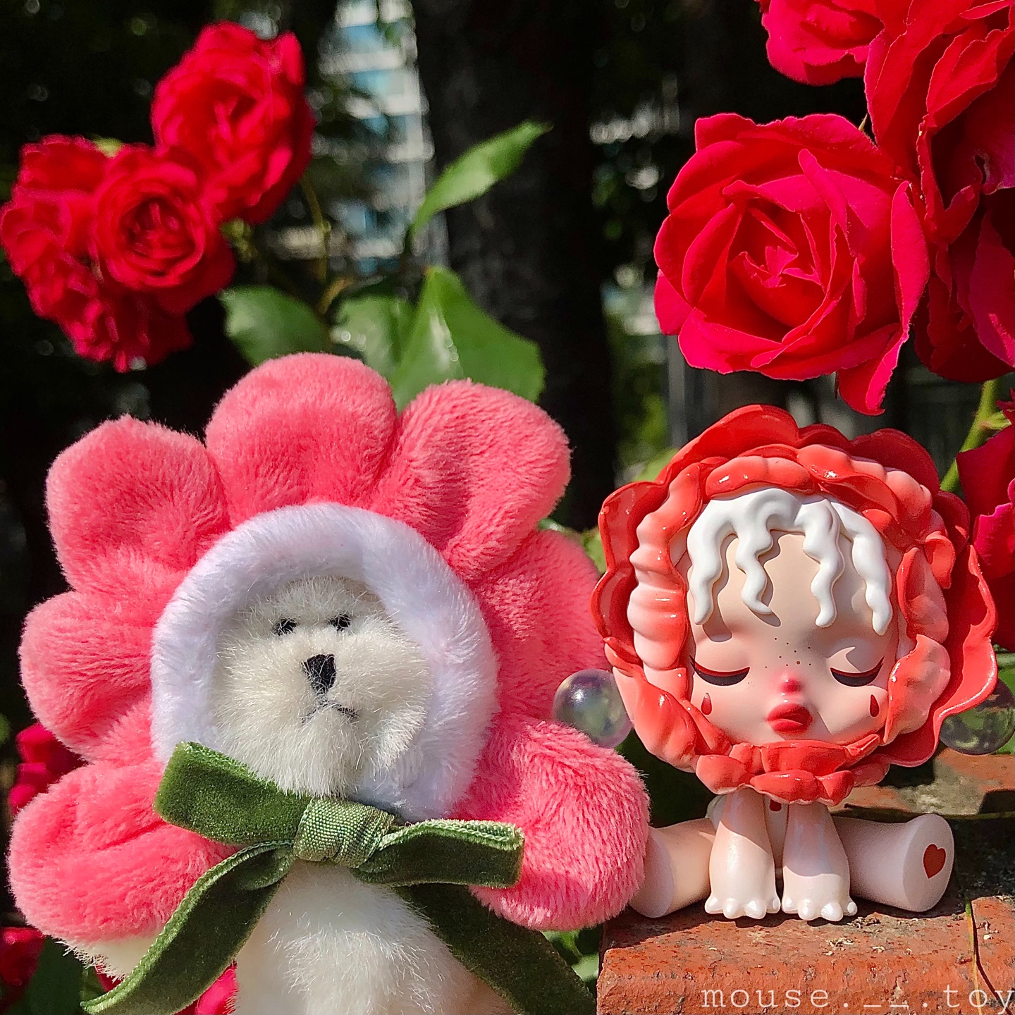장미♥️