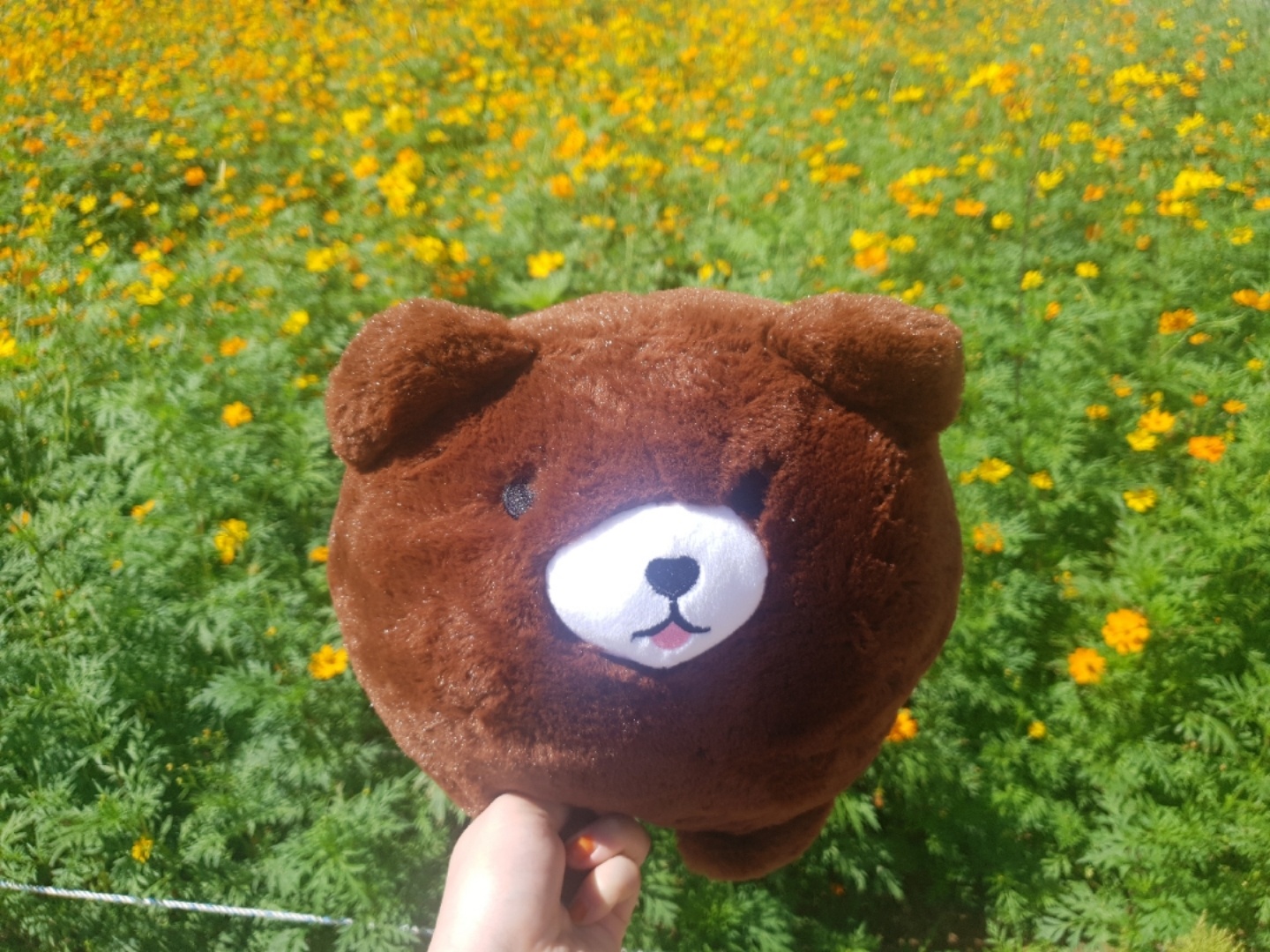 곰돌이
