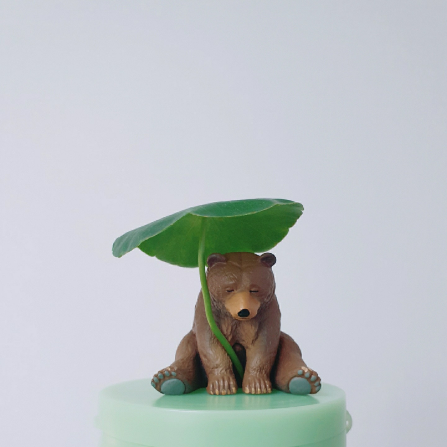 초록잠에 빠진 곰🐻