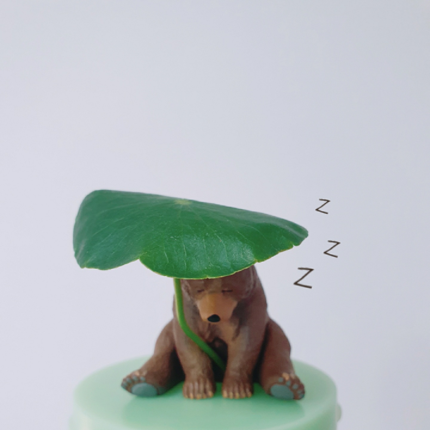 초록잠에 빠진 곰🐻