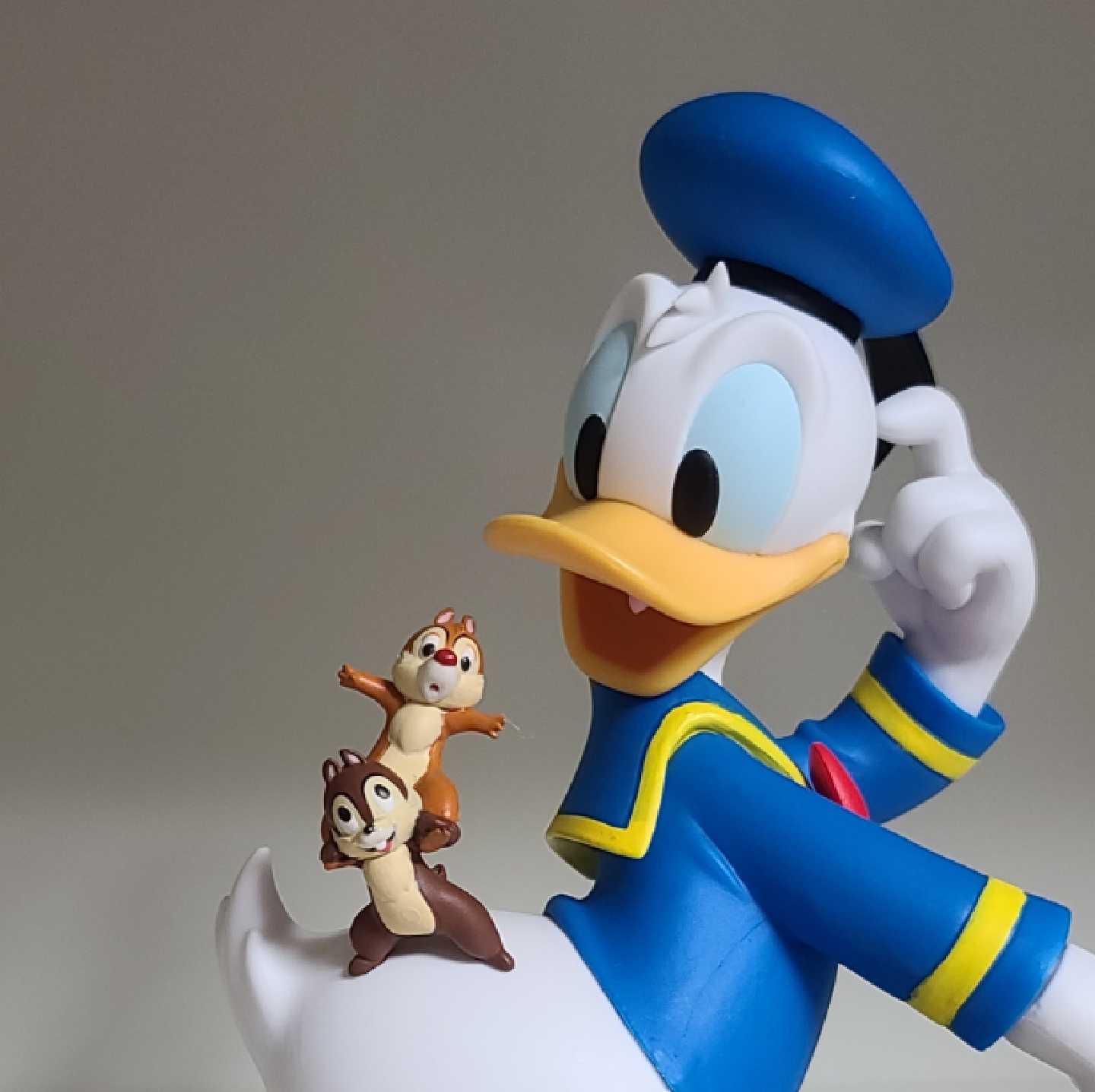 🦆💙🐿