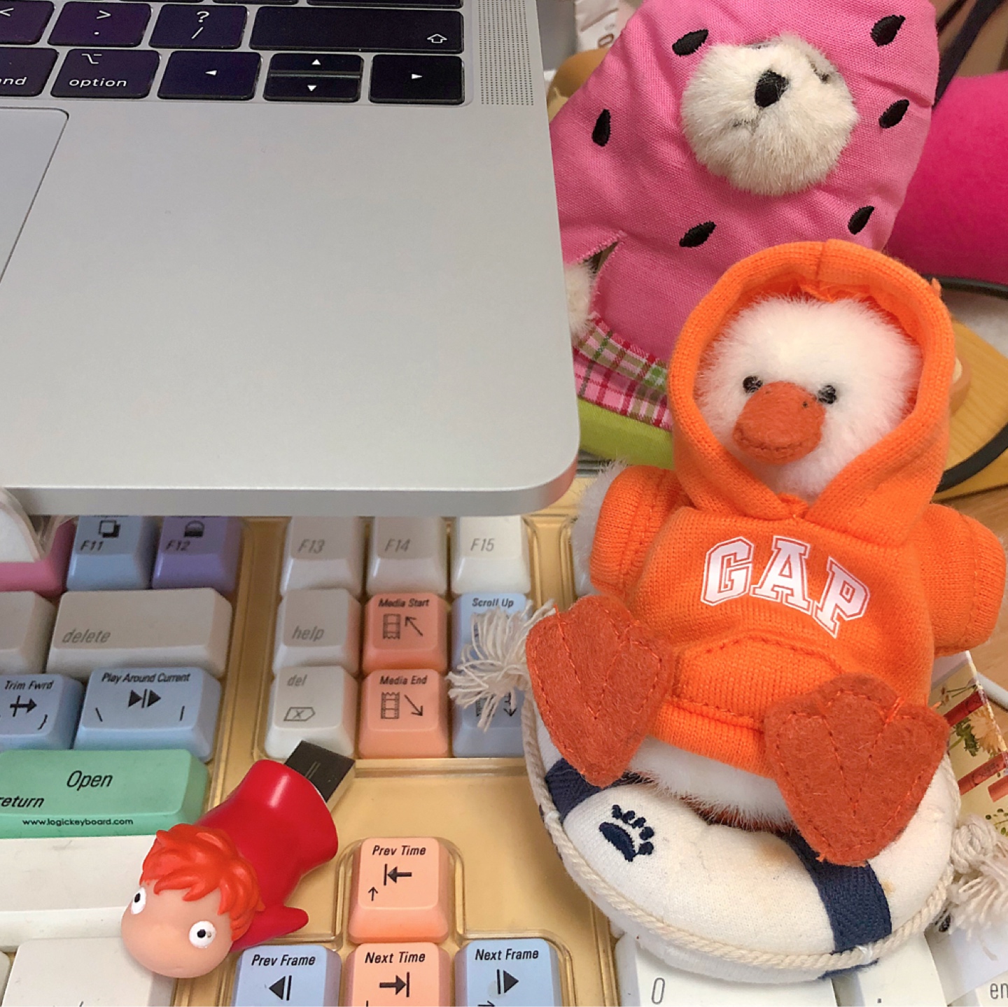 🥕🐣🍉🌊