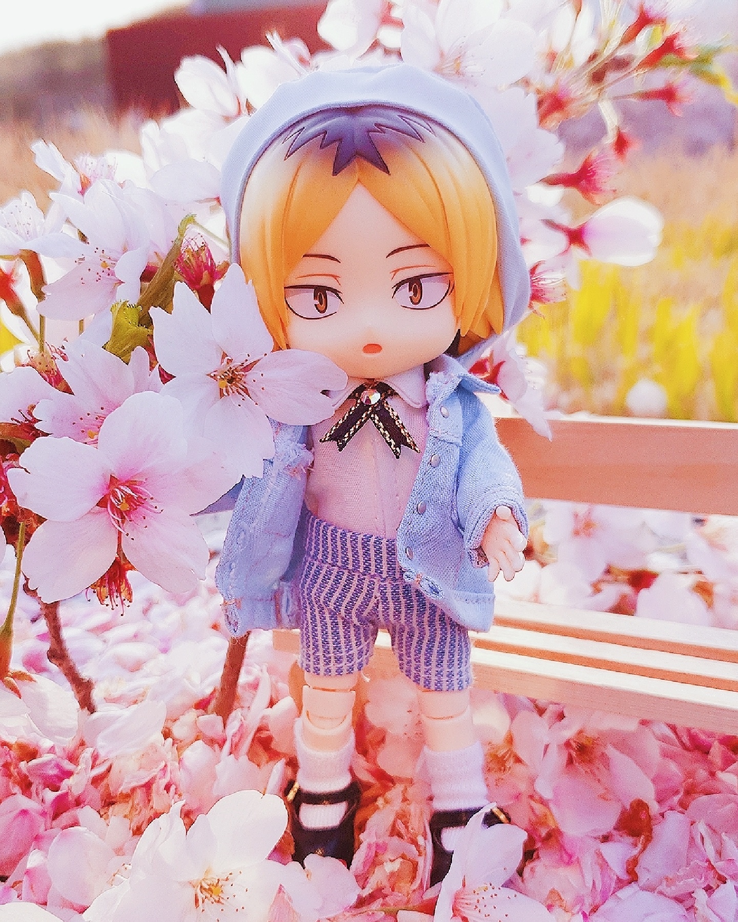 벚꽃놀이♡♡ 켄마