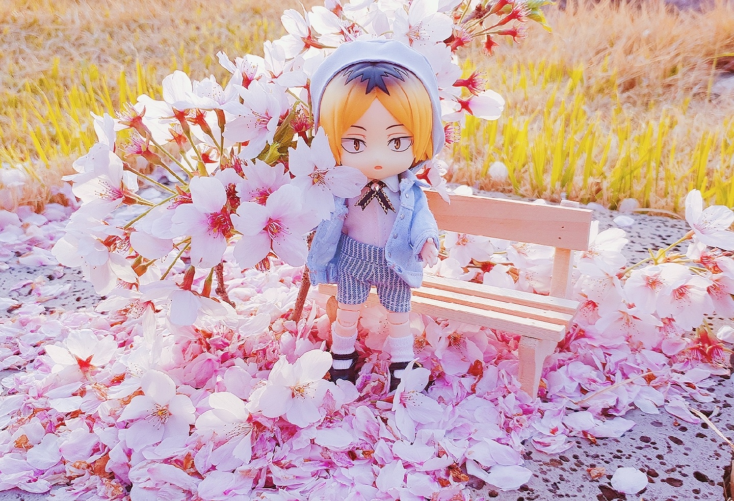 벚꽃놀이♡♡ 켄마