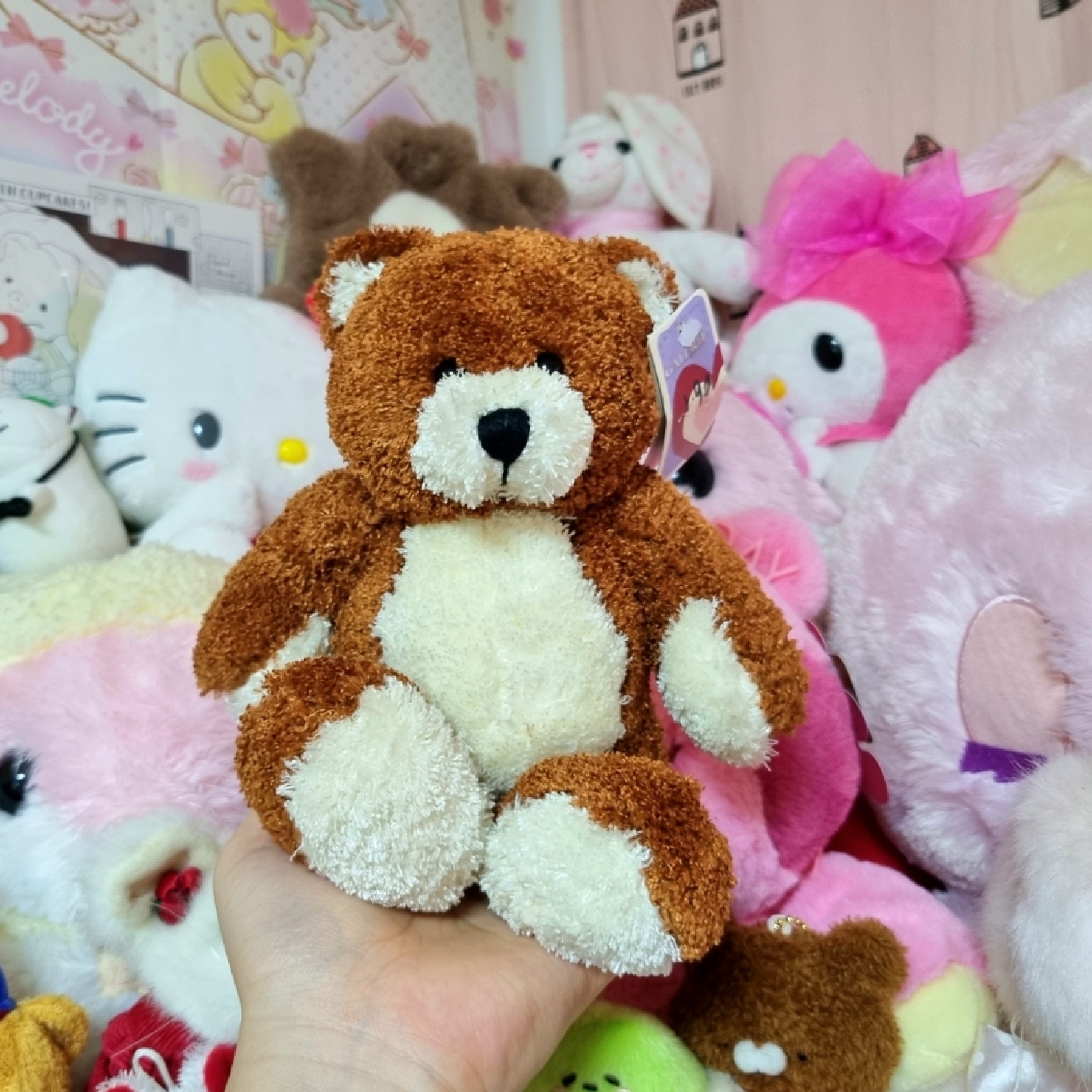 🐤똘망똘망 초코곰돌이🍫