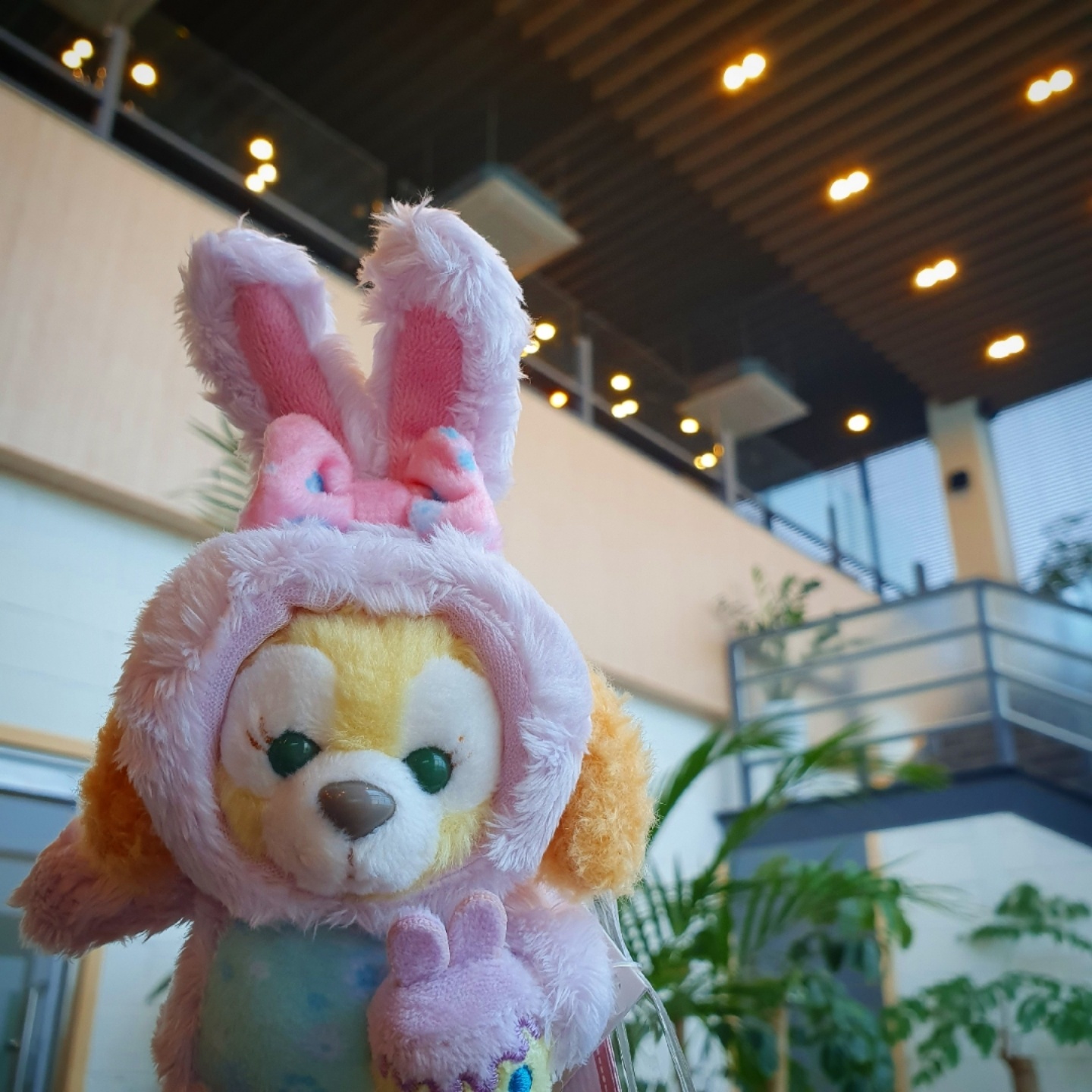 더피프렌즈 이스터 쿠키🐰🐶