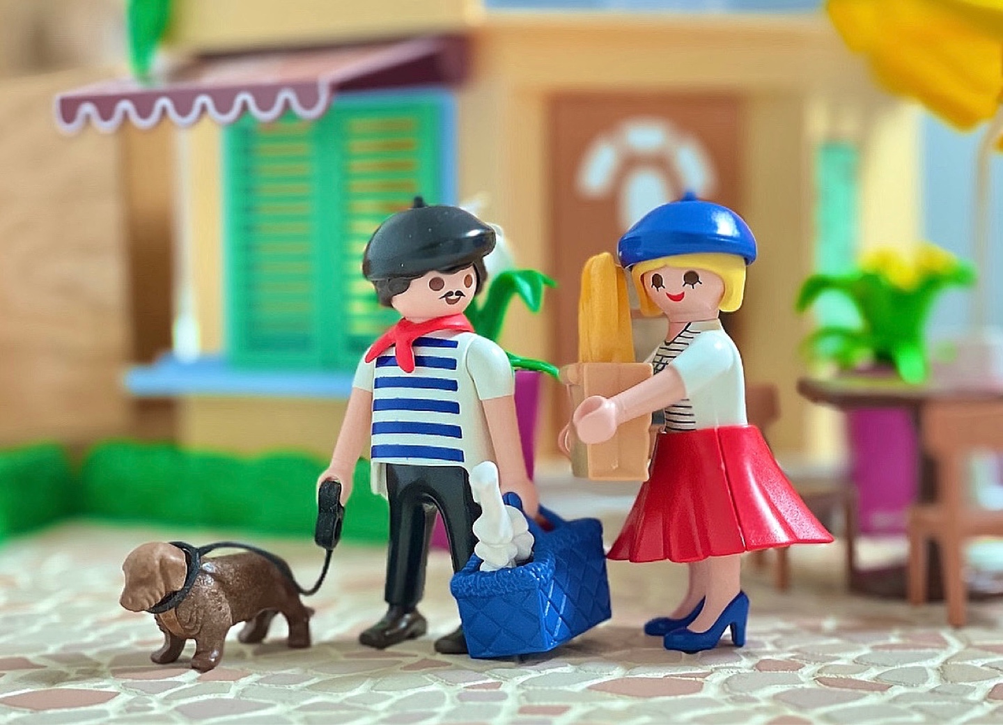 봉주르🇫🇷