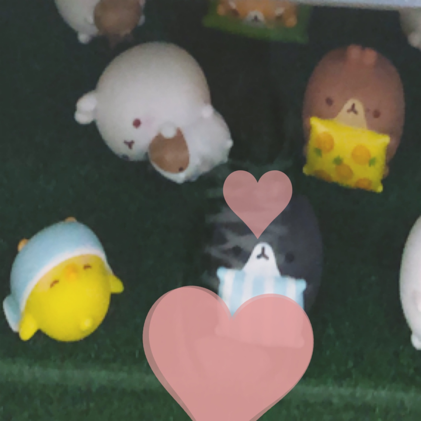 귀여워..