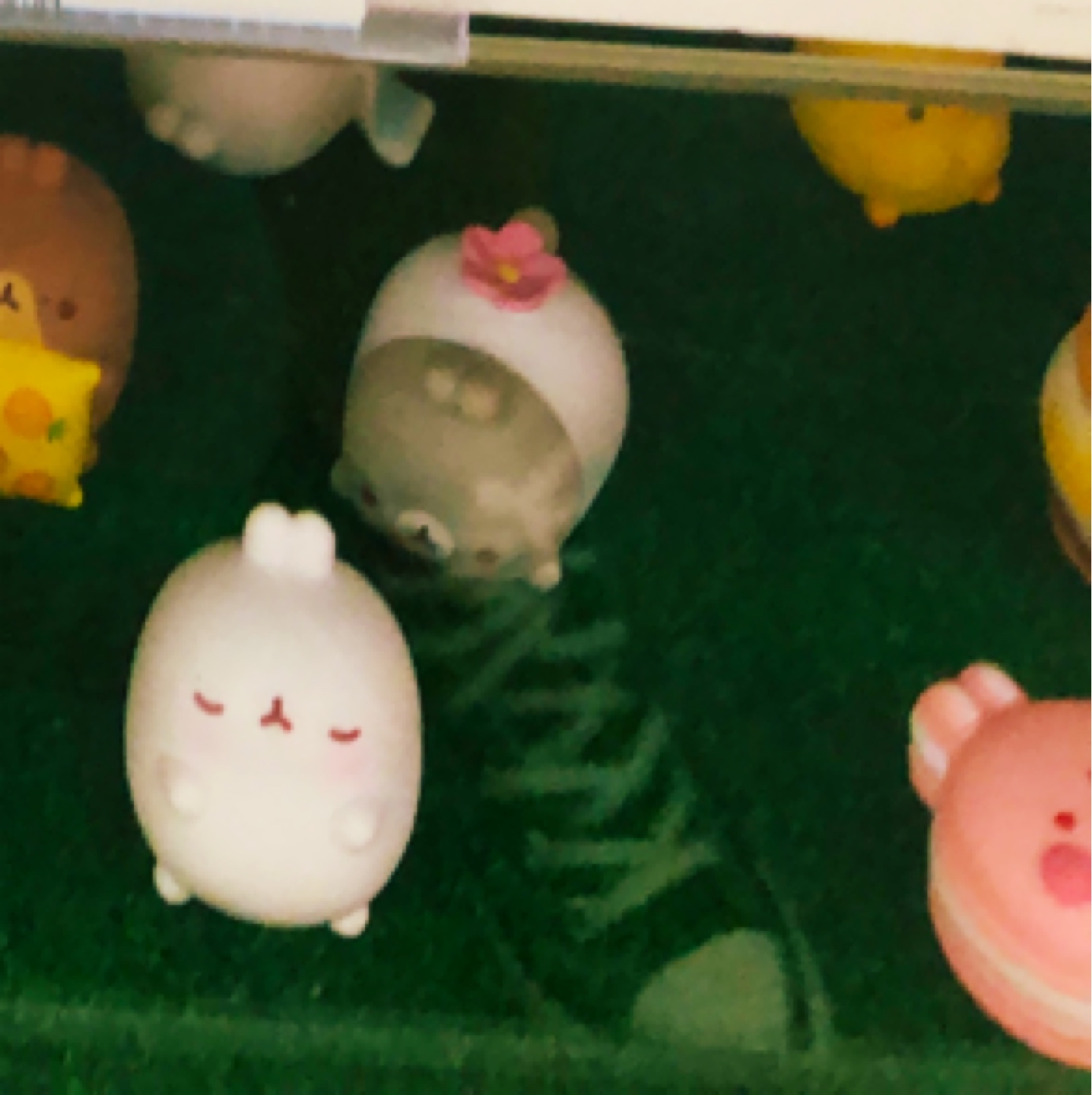 꺅!