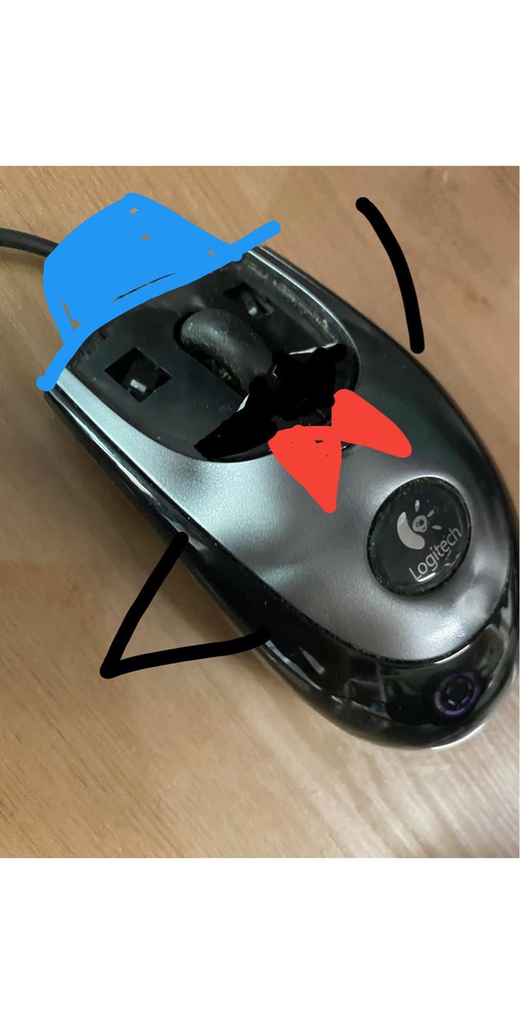 제목 없음