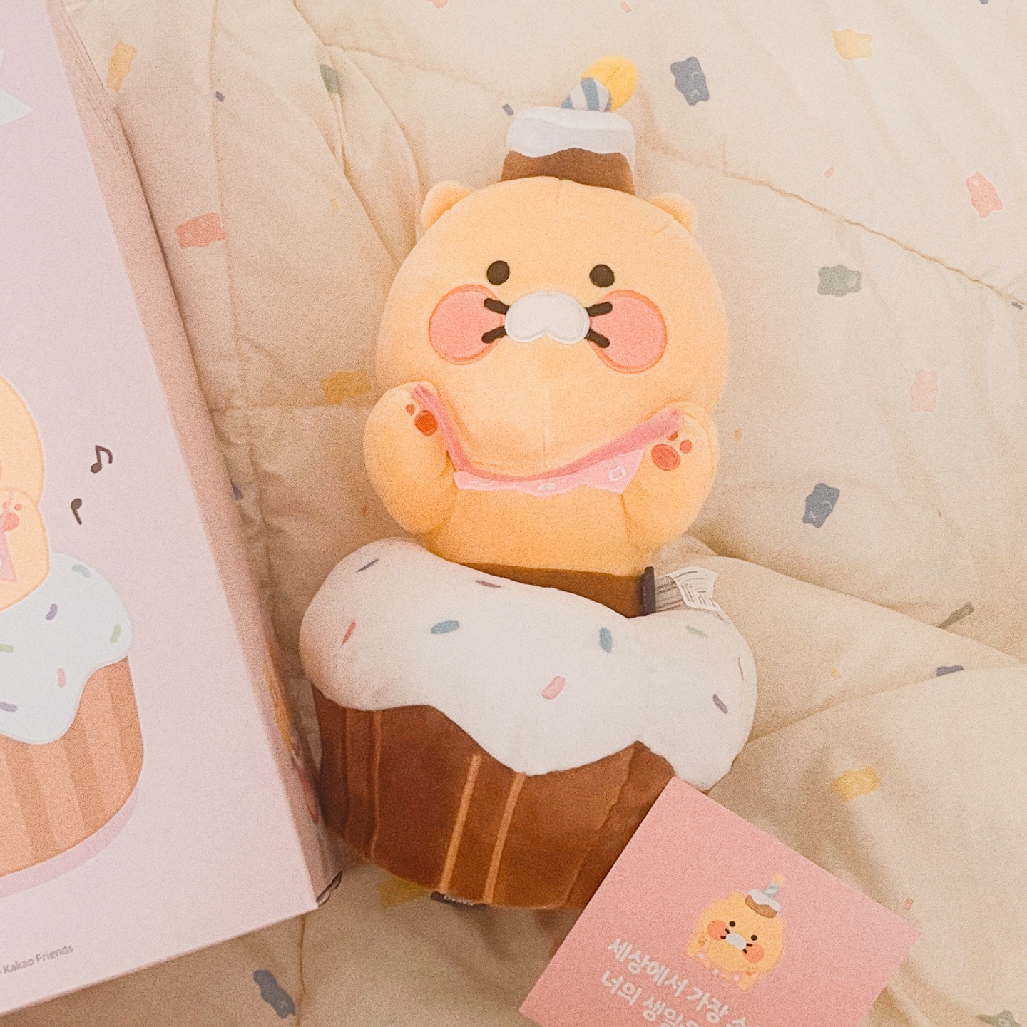 춘식이 생일축하 인형