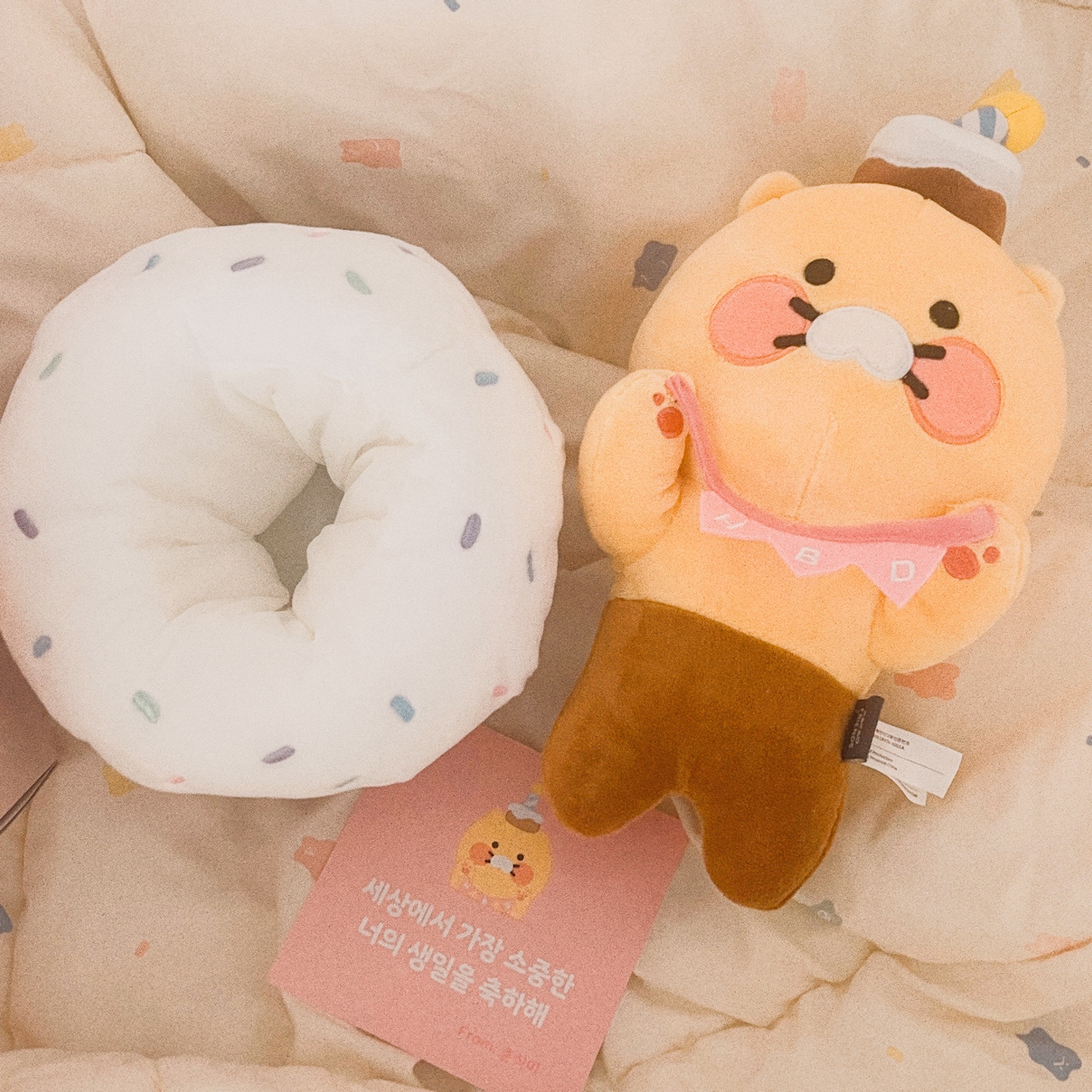 춘식이 생일축하 인형
